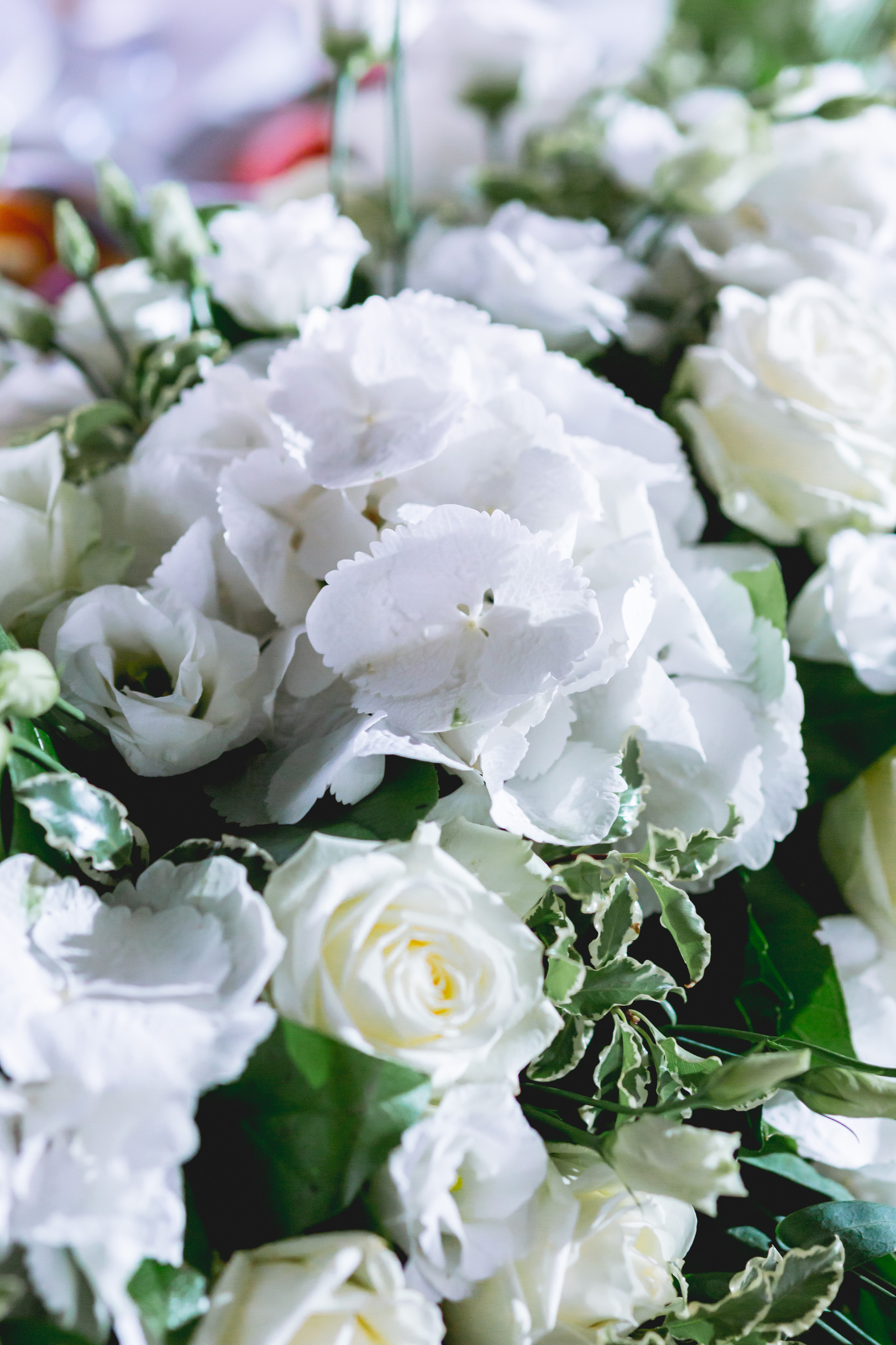 Кирилл и Татьяна. Свадебный и семейный фотограф Константин Аксёнов, Москва