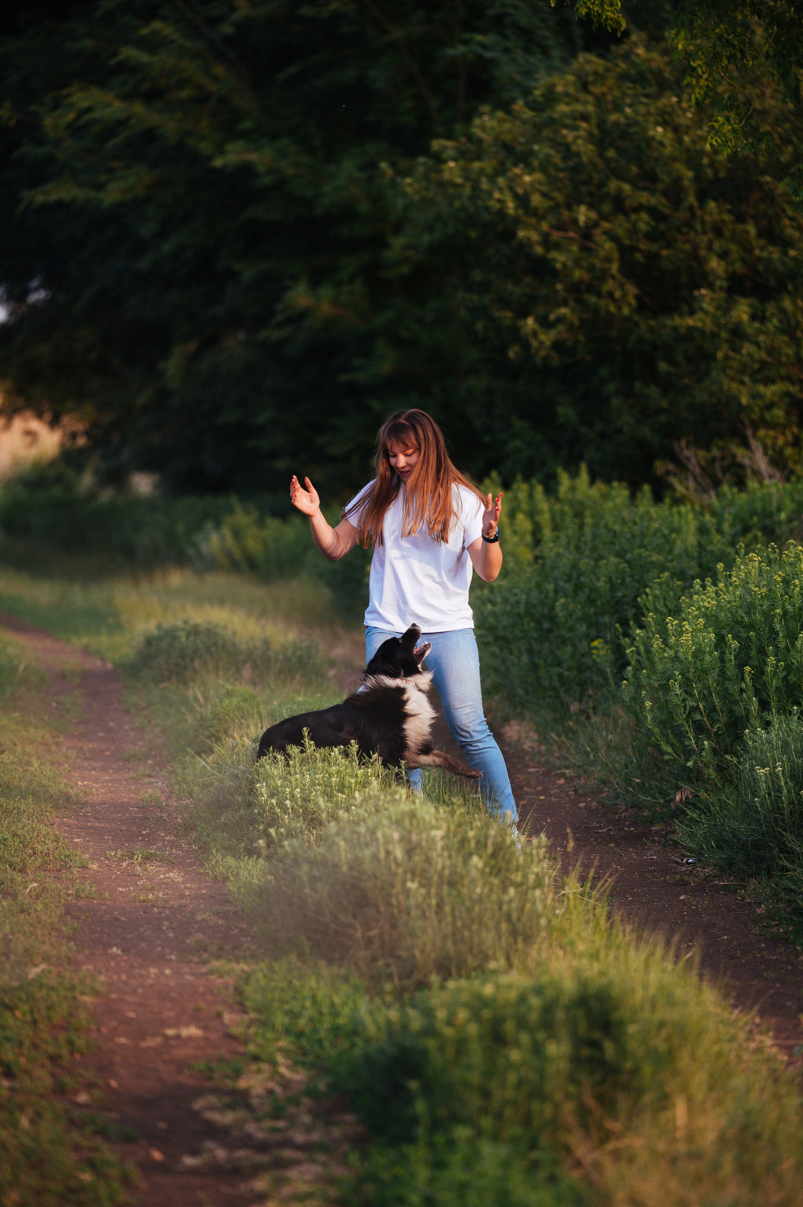 Прогулка на рассвете с бордер-колли. Фотограф в Ростове —на — Дону