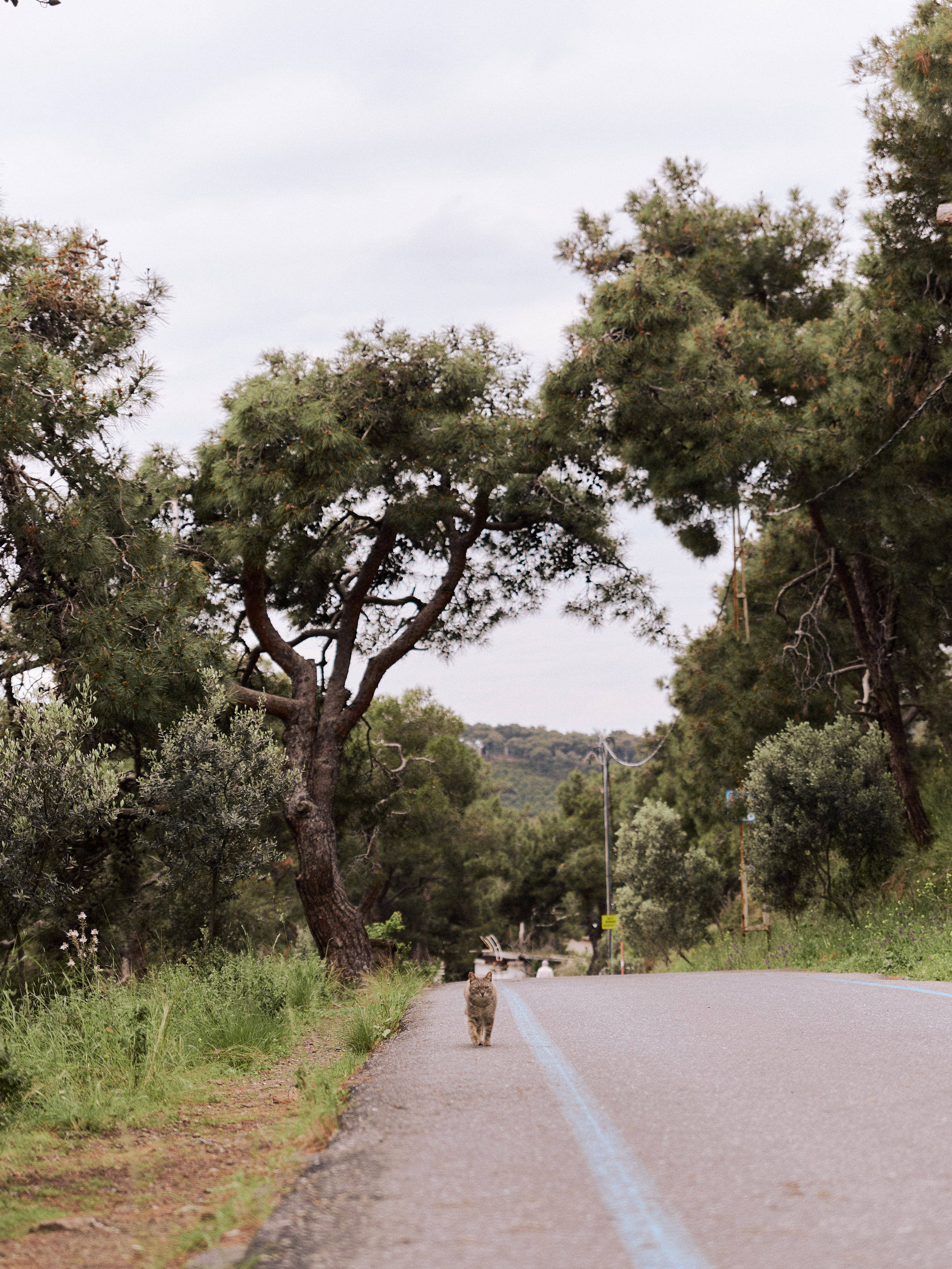 Диптих. Jorgis — фотограф в Хургаде / обучение фотографии