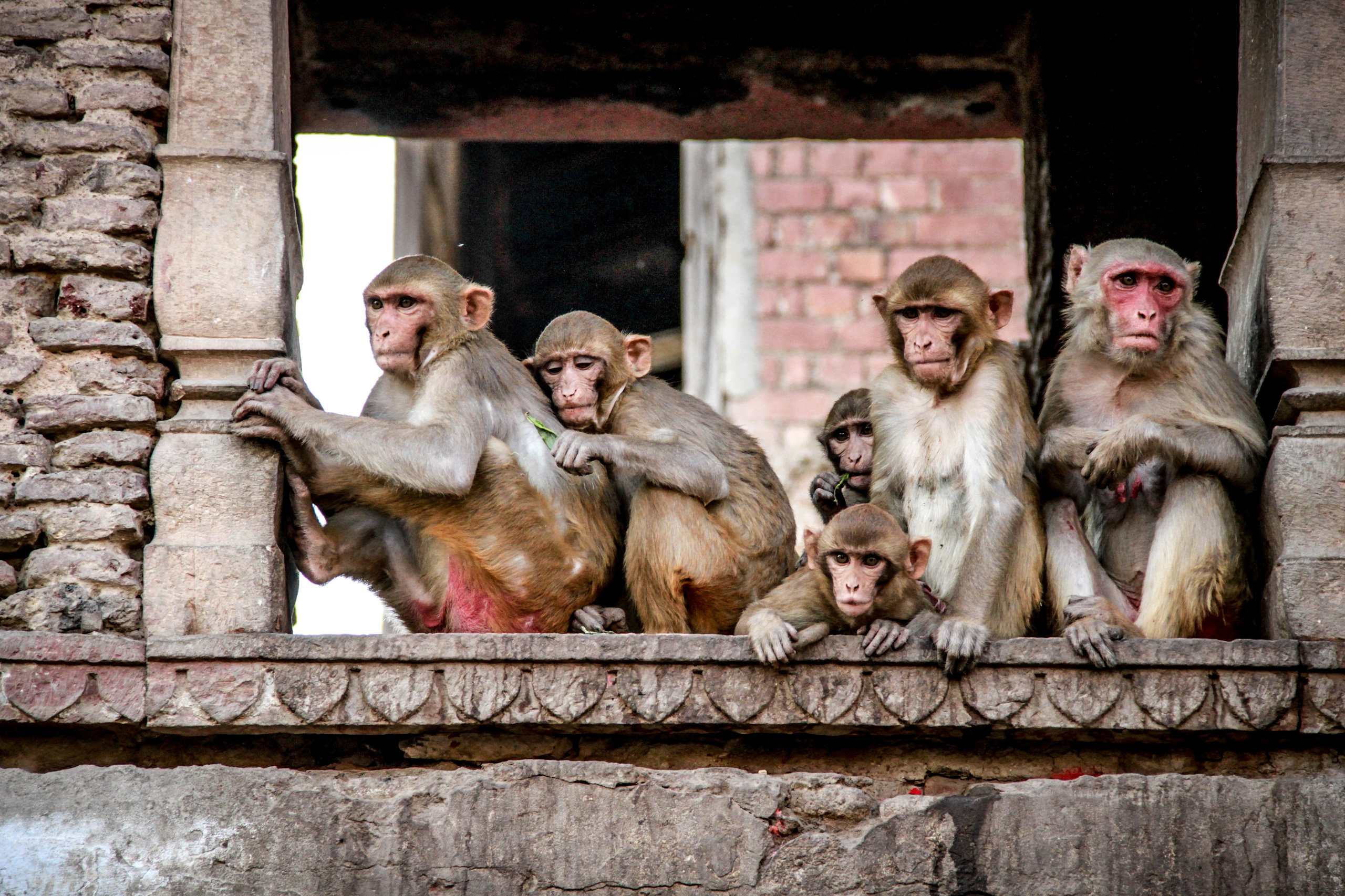 Индия. Фотограф в Крыму