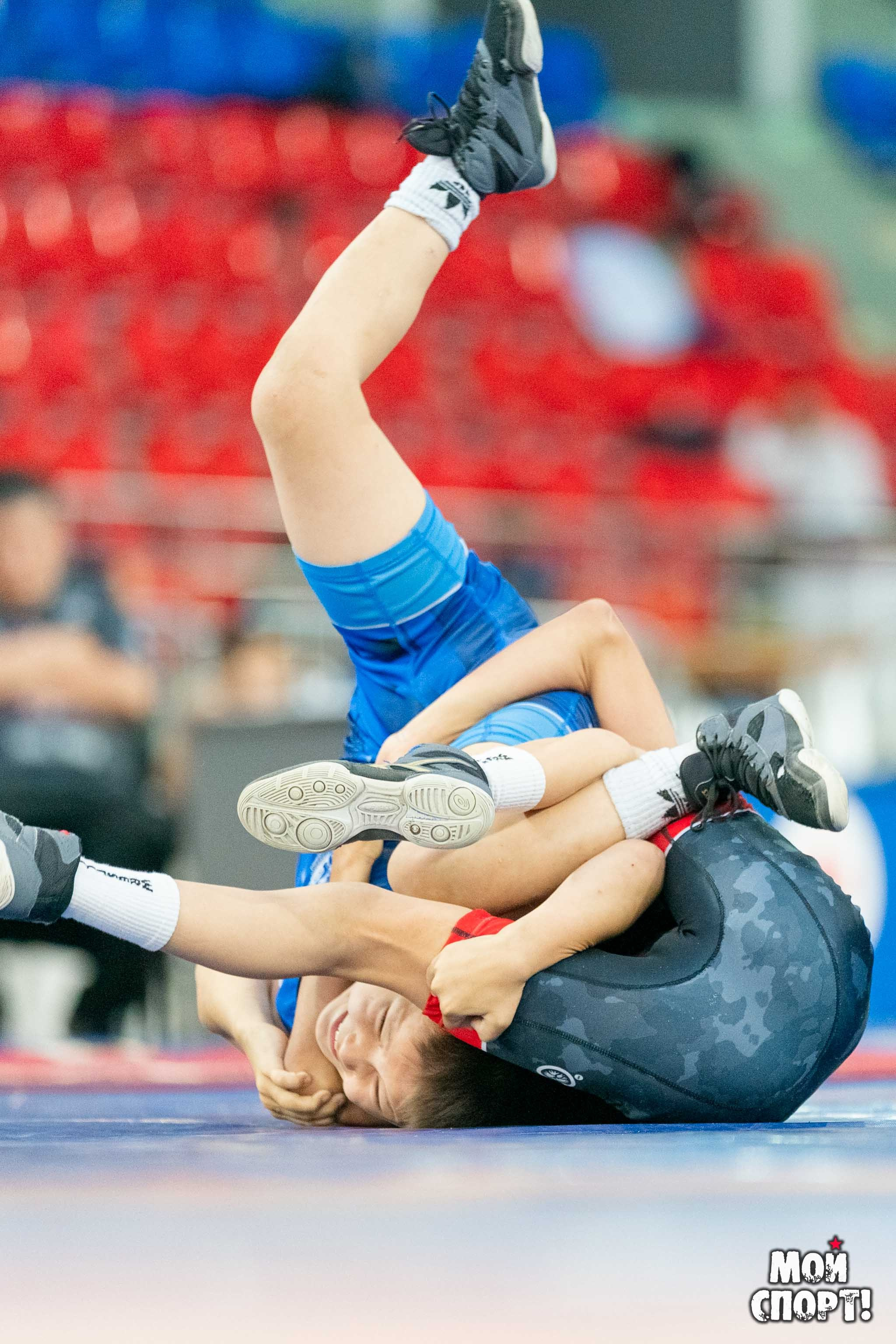 Международный, всероссийский и республиканский турниры по вольной борьбе среди юношей в честь П. П. Пинигина. Студия «Мой Спорт!» — все о спорте в Якутии