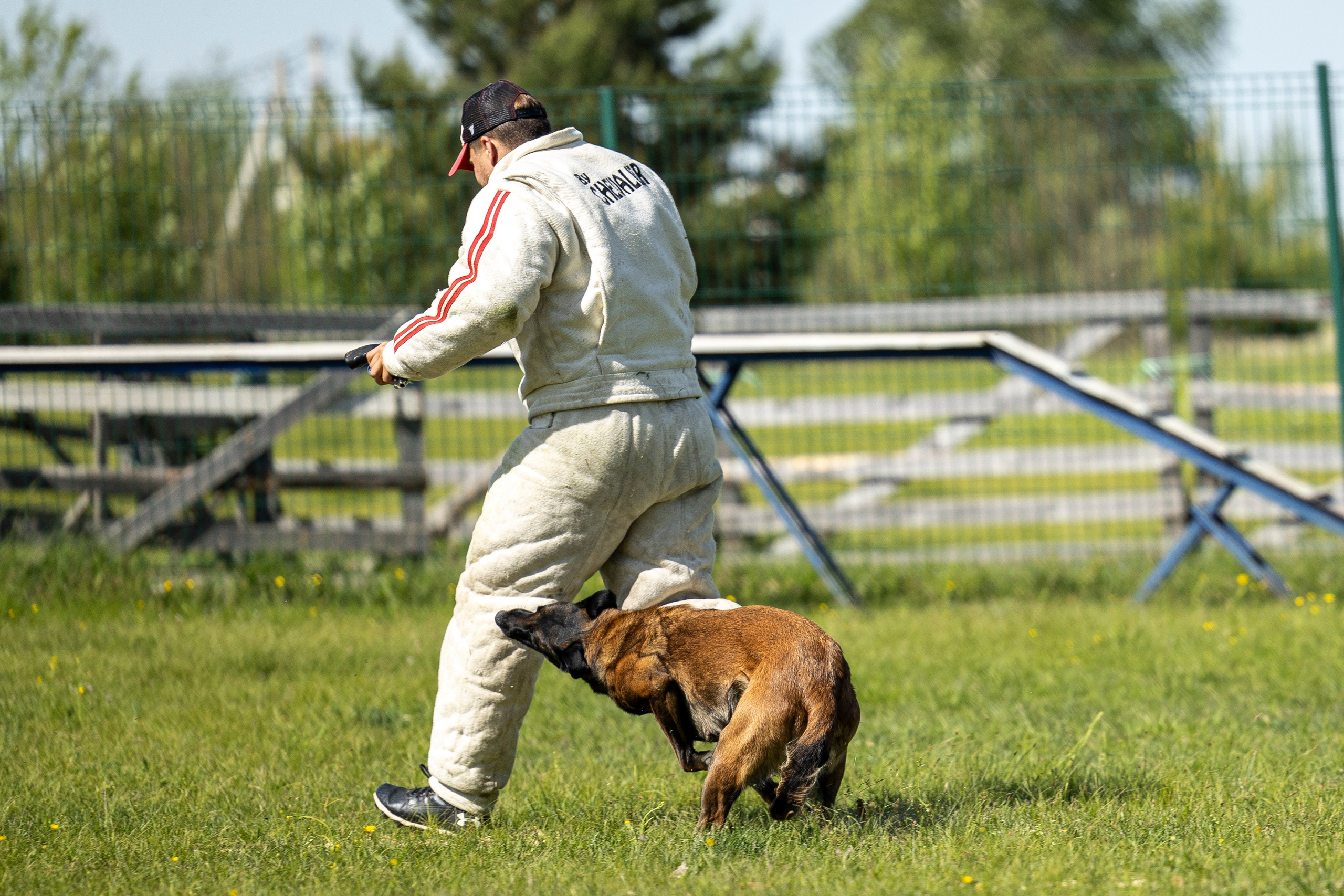 Испытания по мондьорингу в Нижнем Новгороде. Фотограф-анималист Анна Маринич
