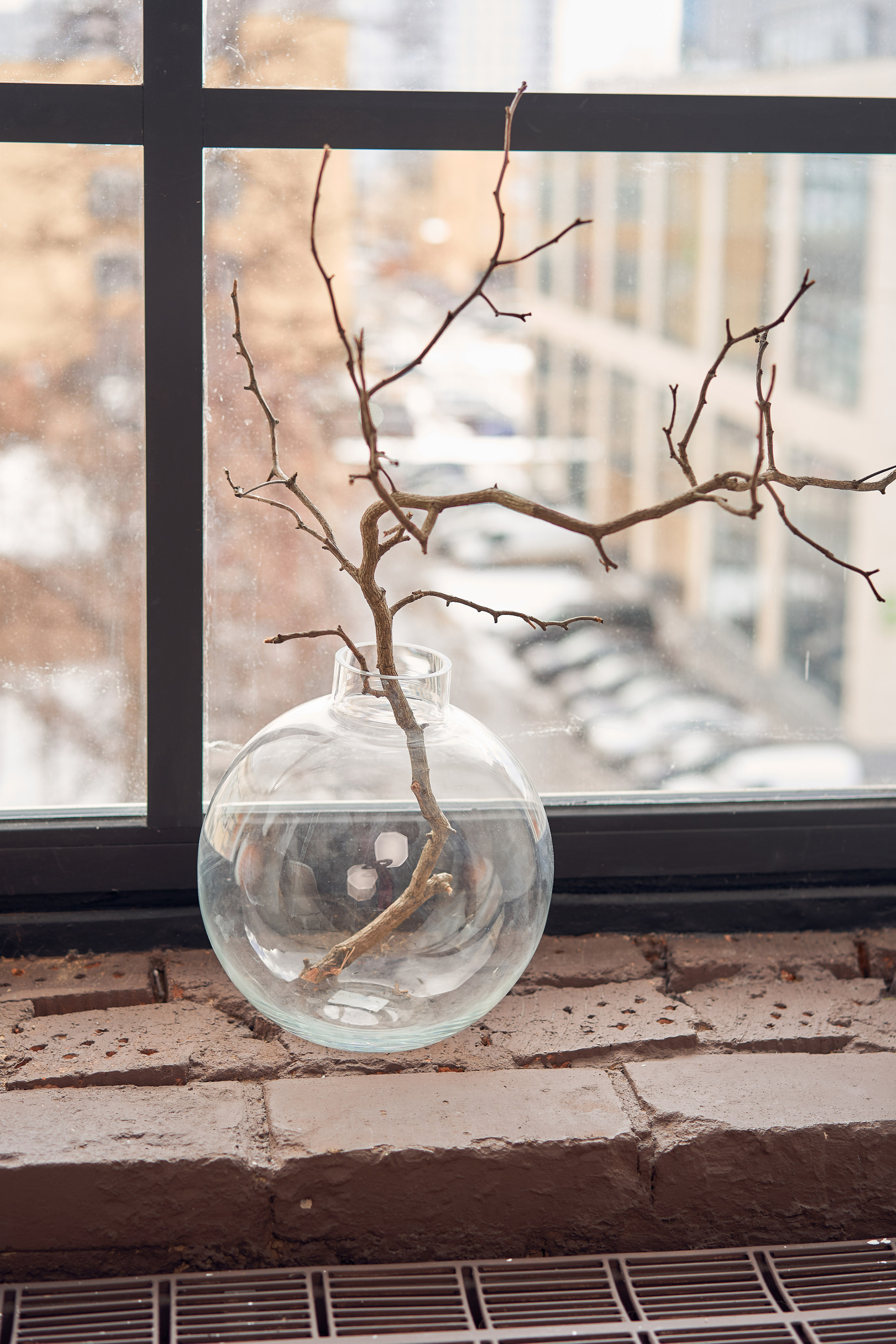 Ксения. Фото/видео контент Москва