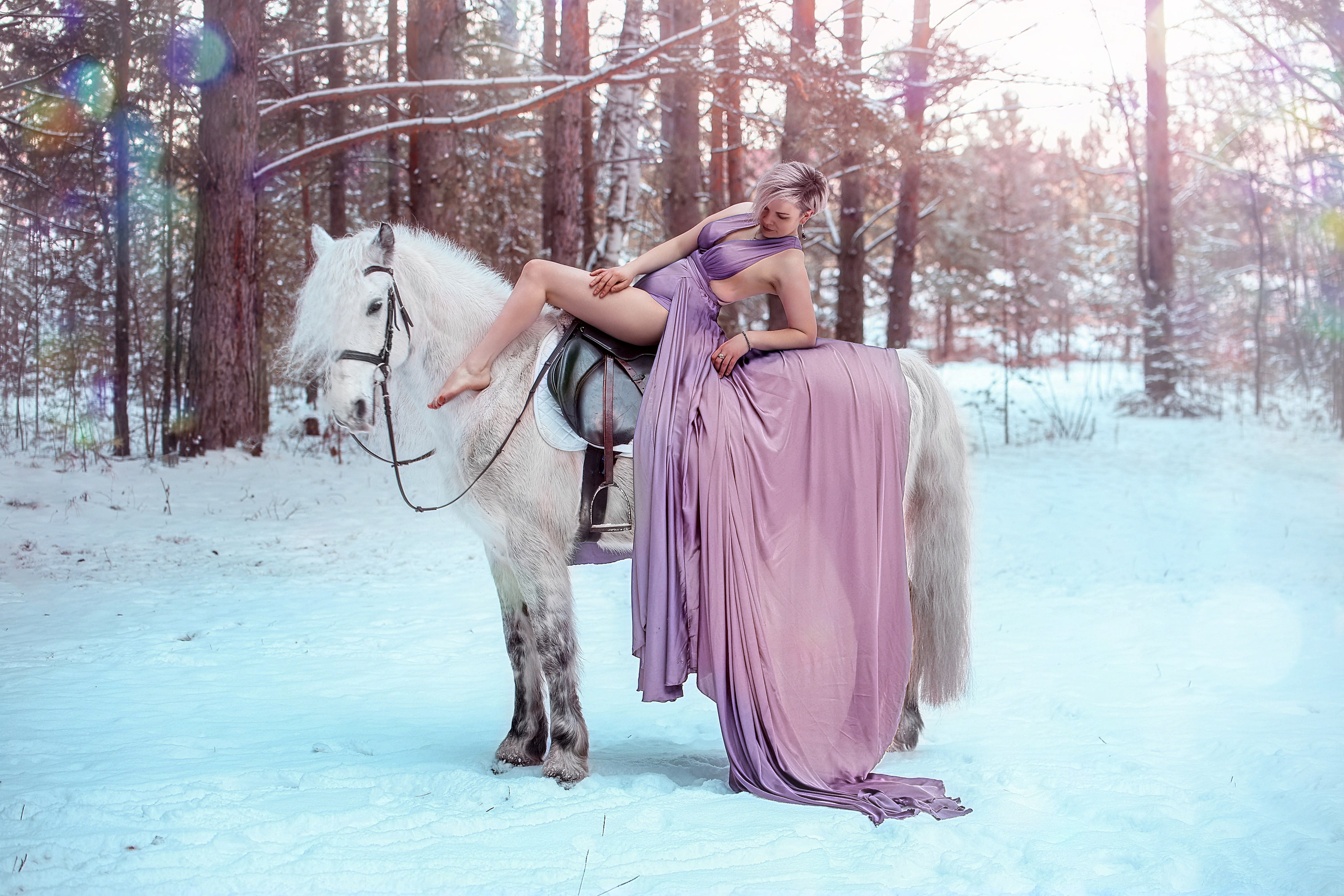 Феникс. Конный фотограф в Красноярске — Любовь Похабова