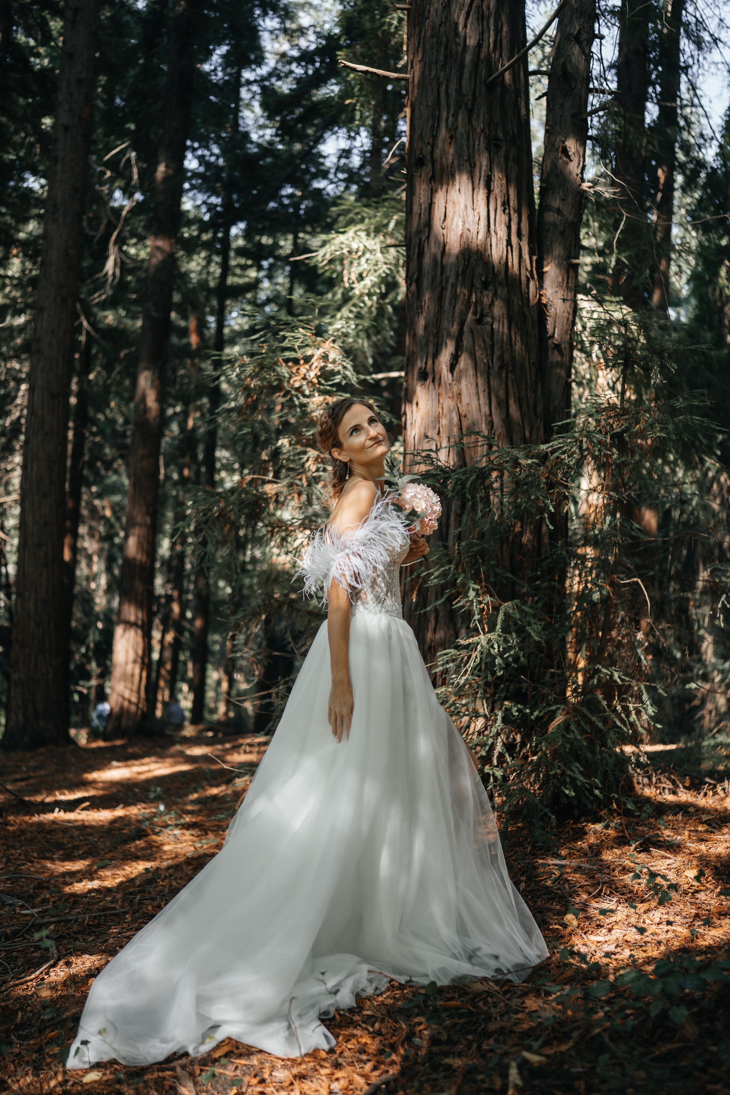 Свадьба Дмитрия и Алёны. Главная