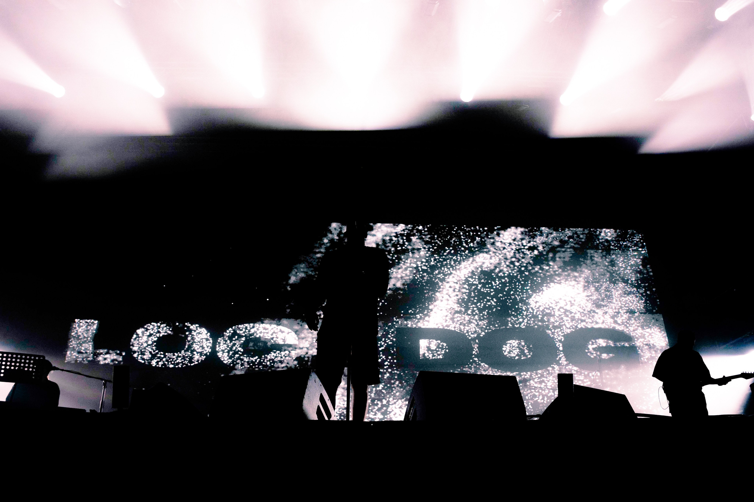 LOC-DOG. Фотограф Москва