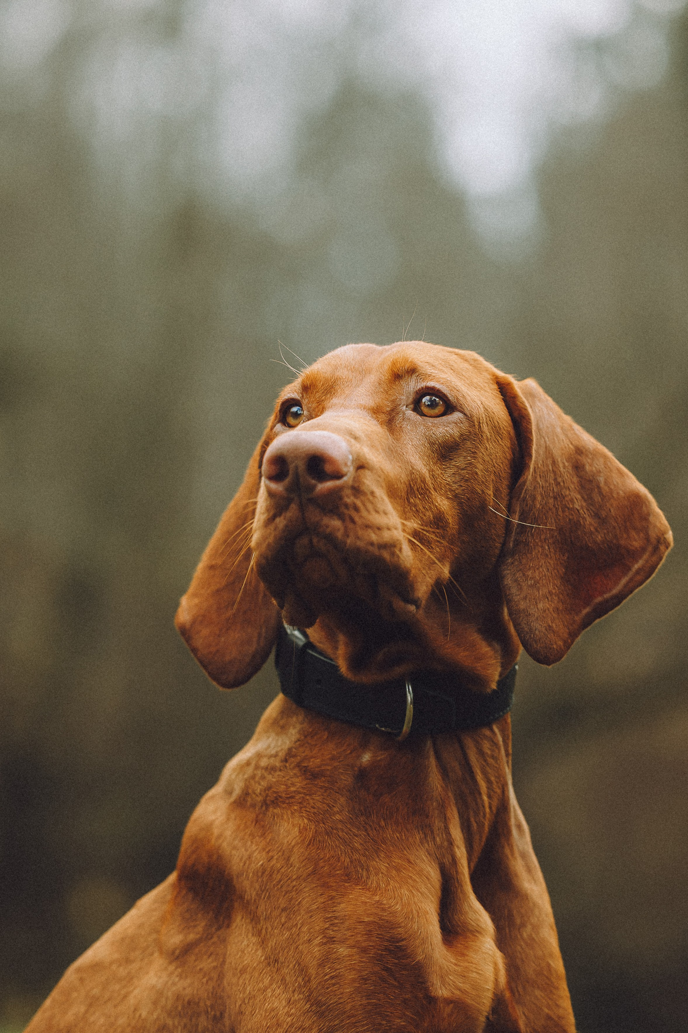 Дориан и его семья