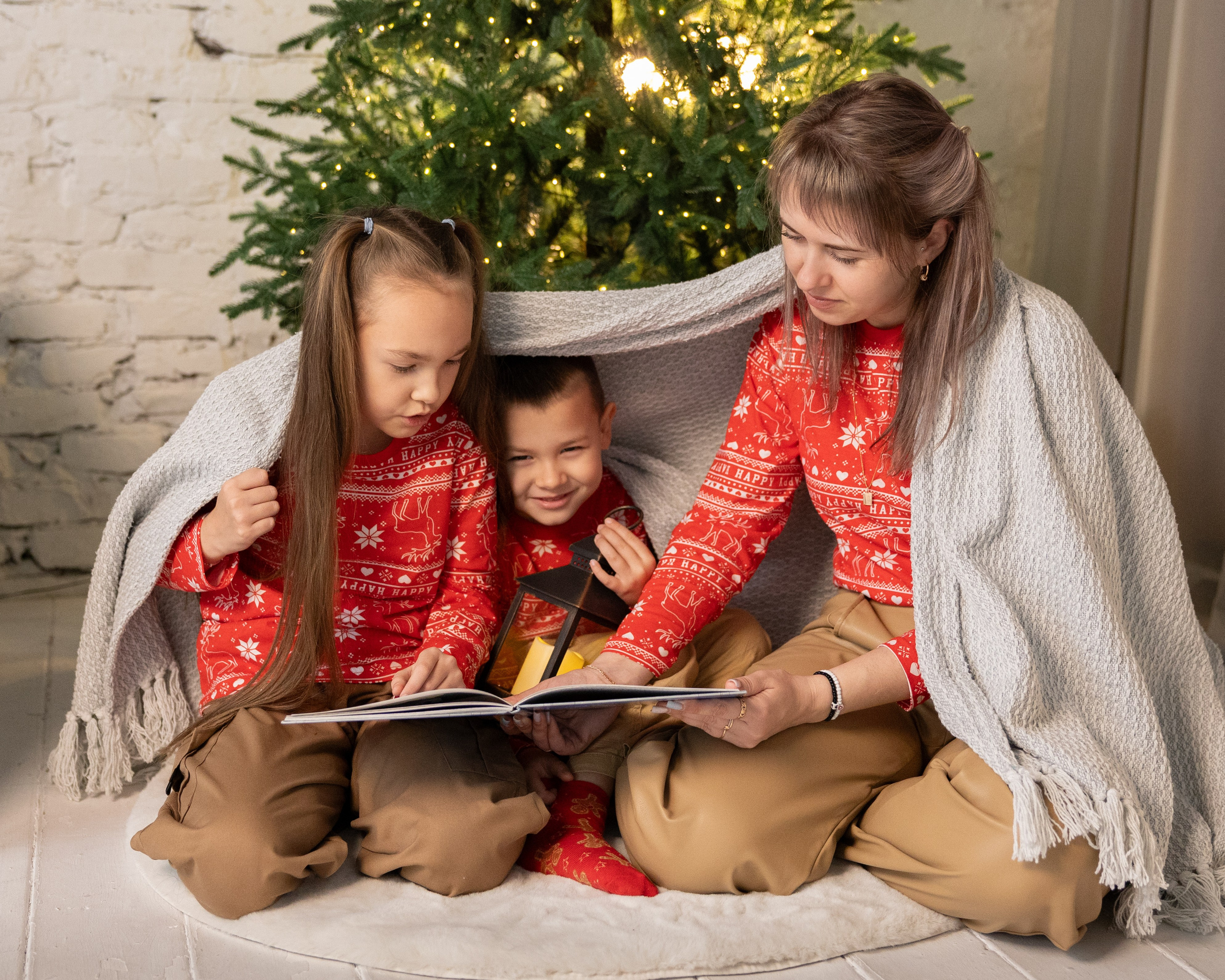 Новогодние. Фотограф Новосибирск, Академгородок, Бердск — Айна