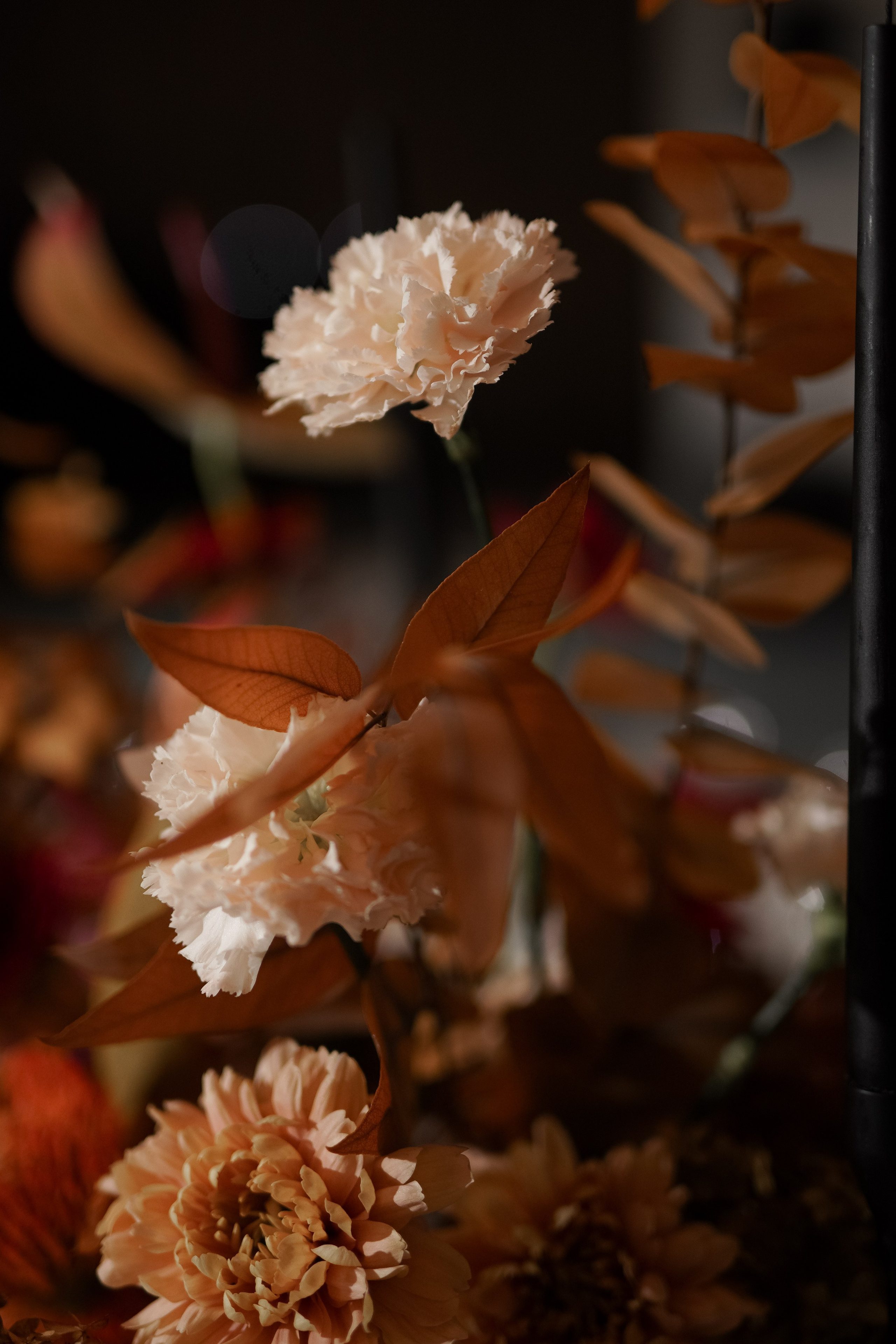 Валерия и Денис. Свадебный фотограф Марина Попова