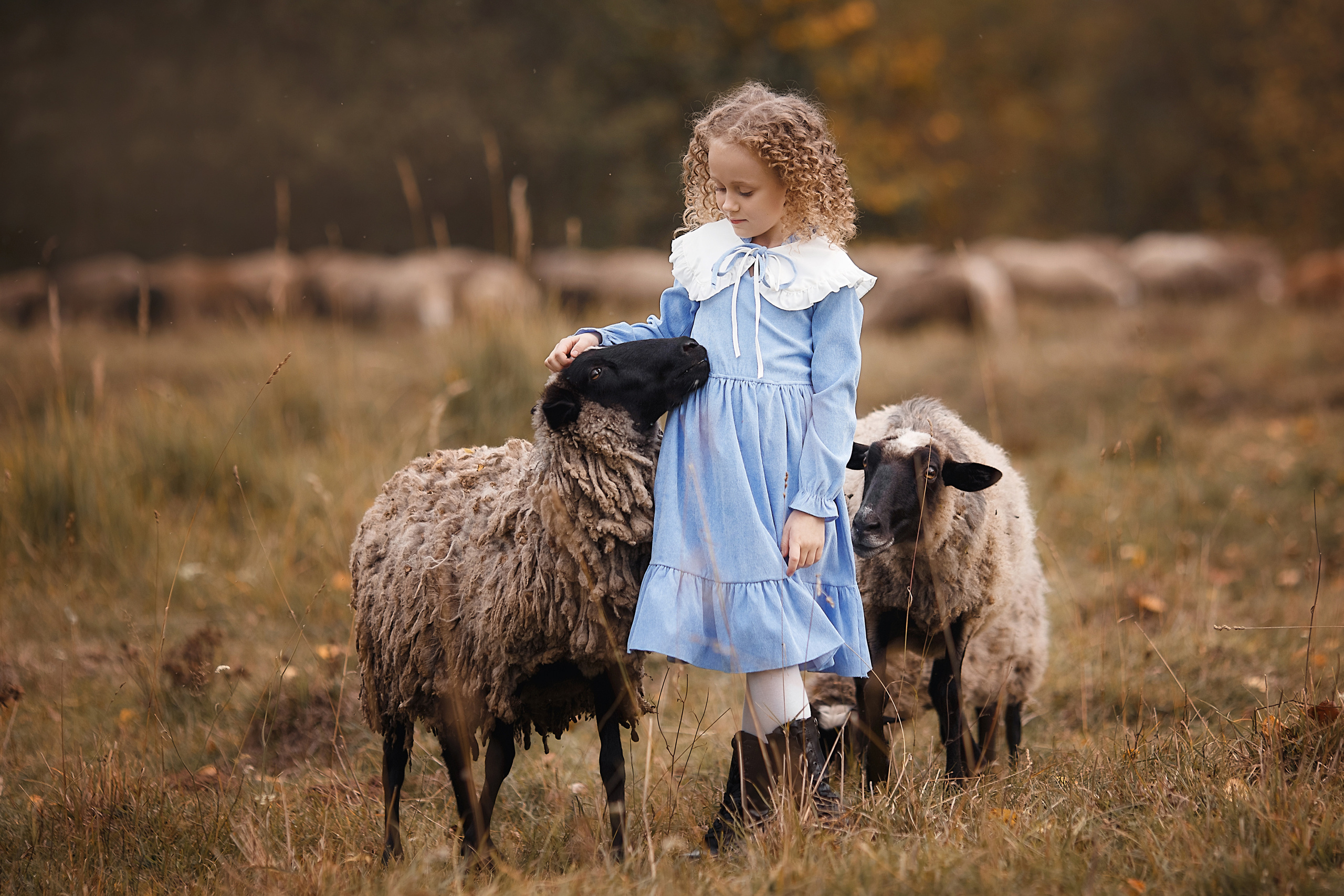 Детская фотосъемка. Семейный и детский фотограф Ижевск | Тамара Дмитриева