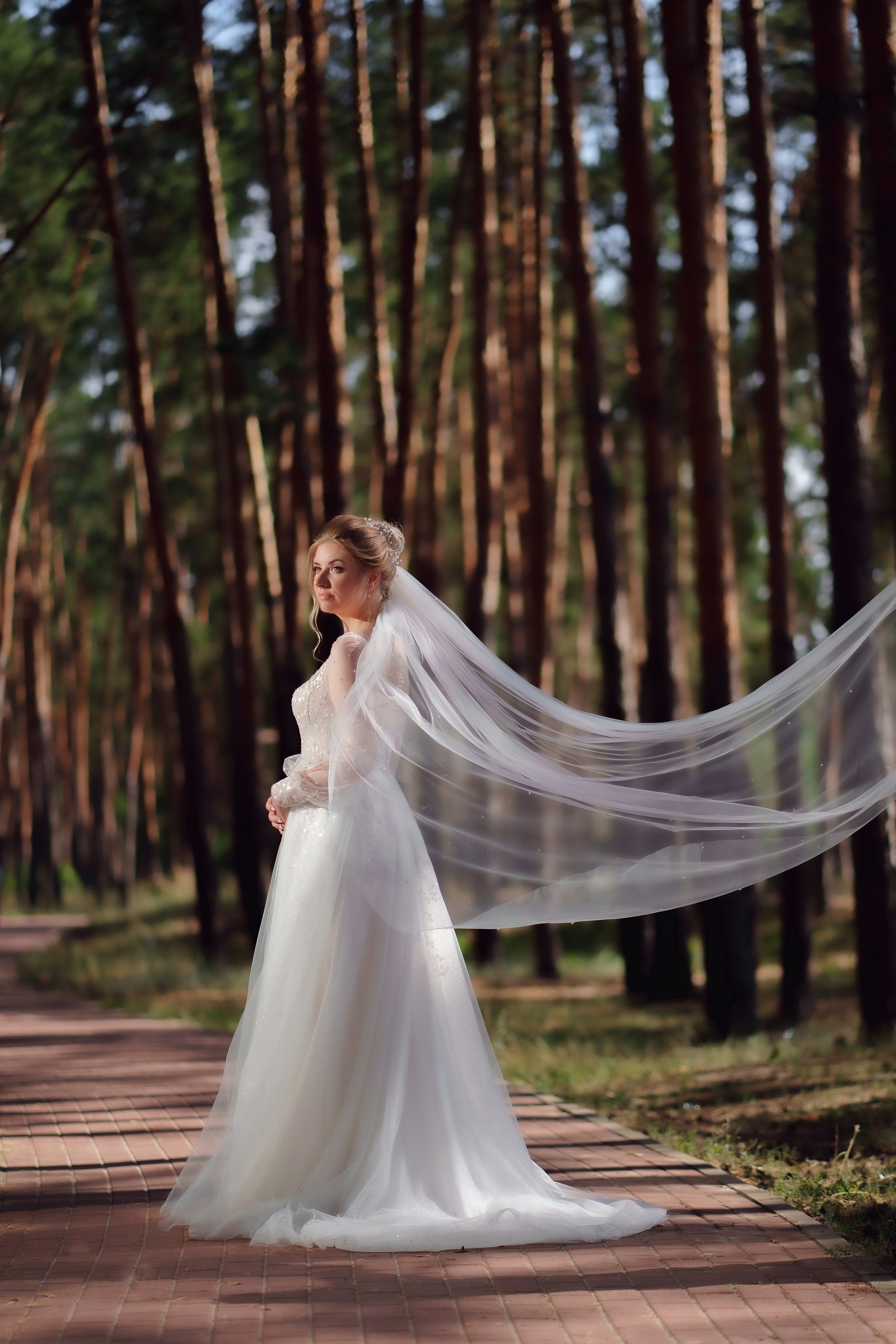 29.07.2022. Фотограф Андрей Чеботок (Белгород, Курск, Воронеж, Старый Оскол)