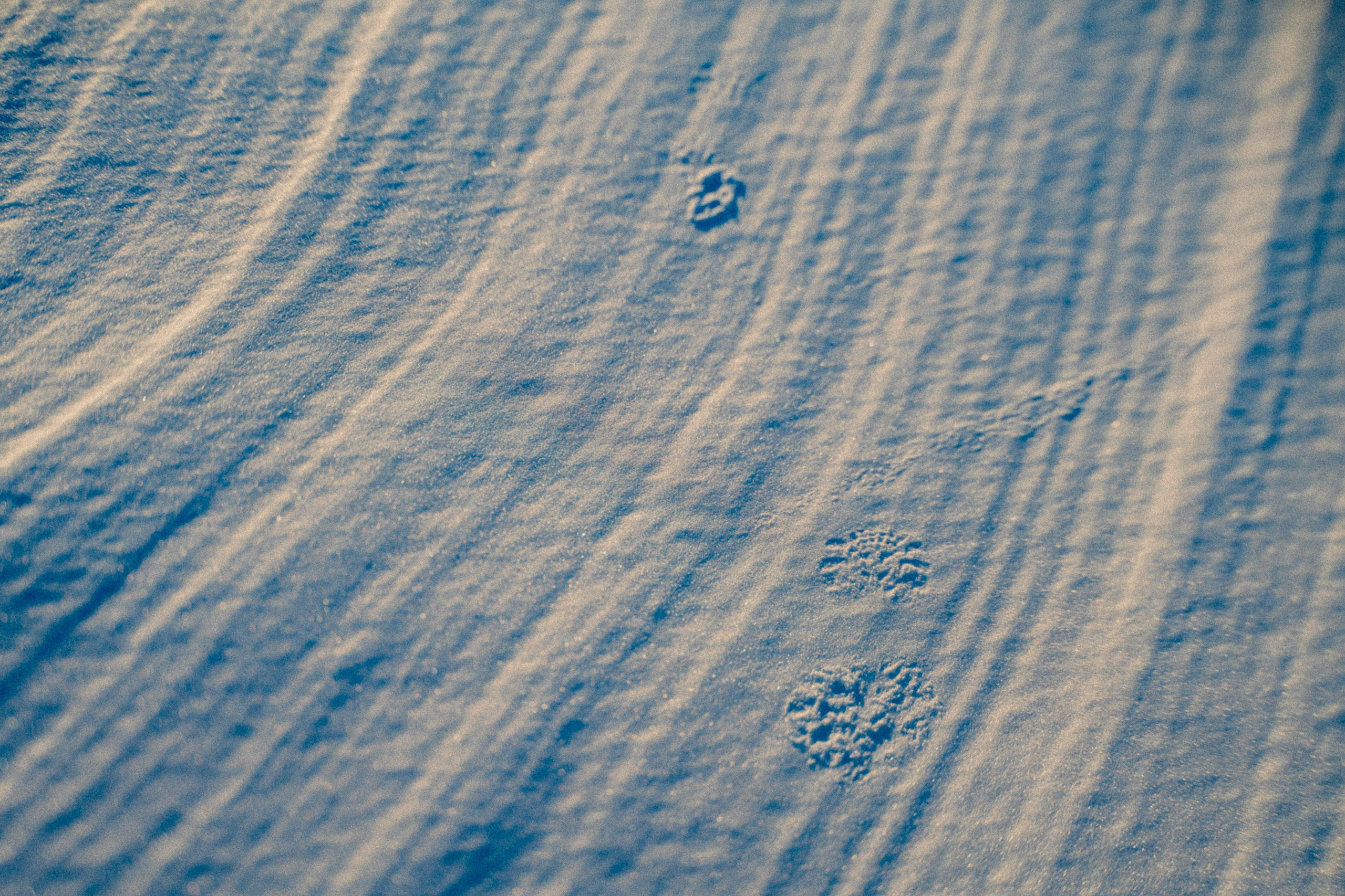 Священное озеро. Фотограф * Вячеслав Скоробогатов * Визульный Артист