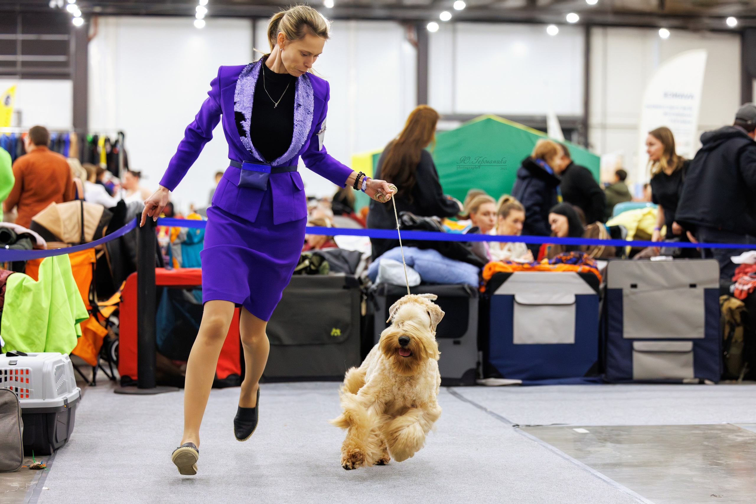 Питер 12-13.12.2025. Фотограф-анималист Юлия Германика