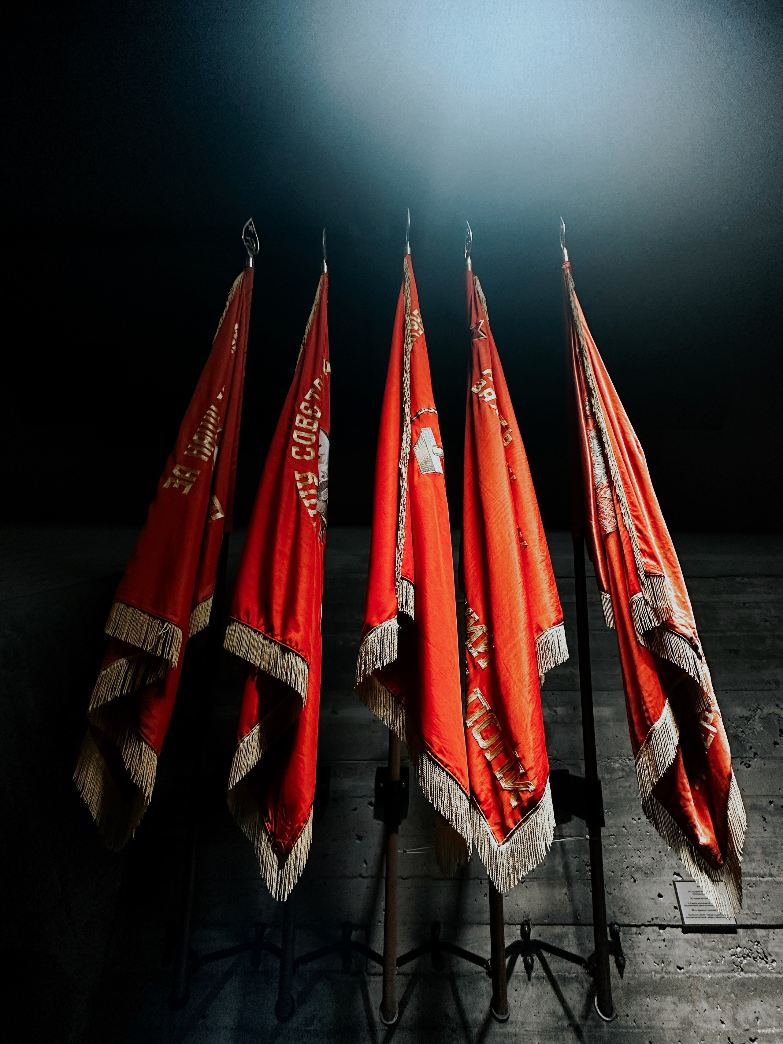 БЛАГОТВОРИТЕЛЬНЫЙ ПРОЕКТ «ВЕРНИСЬ!»