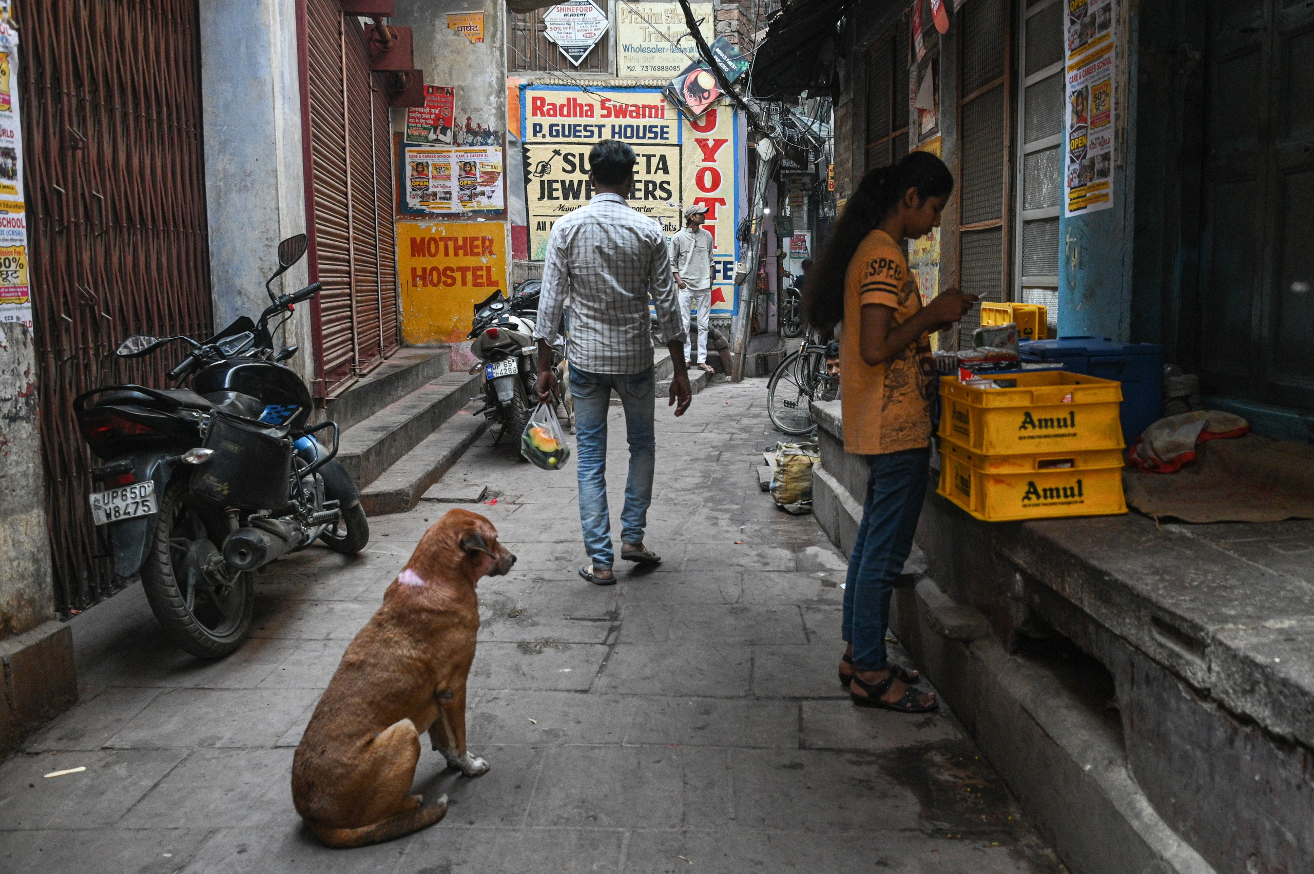 Невероятная Индия. Игорь Иванко — Репортажный и событийный фотограф. Москва