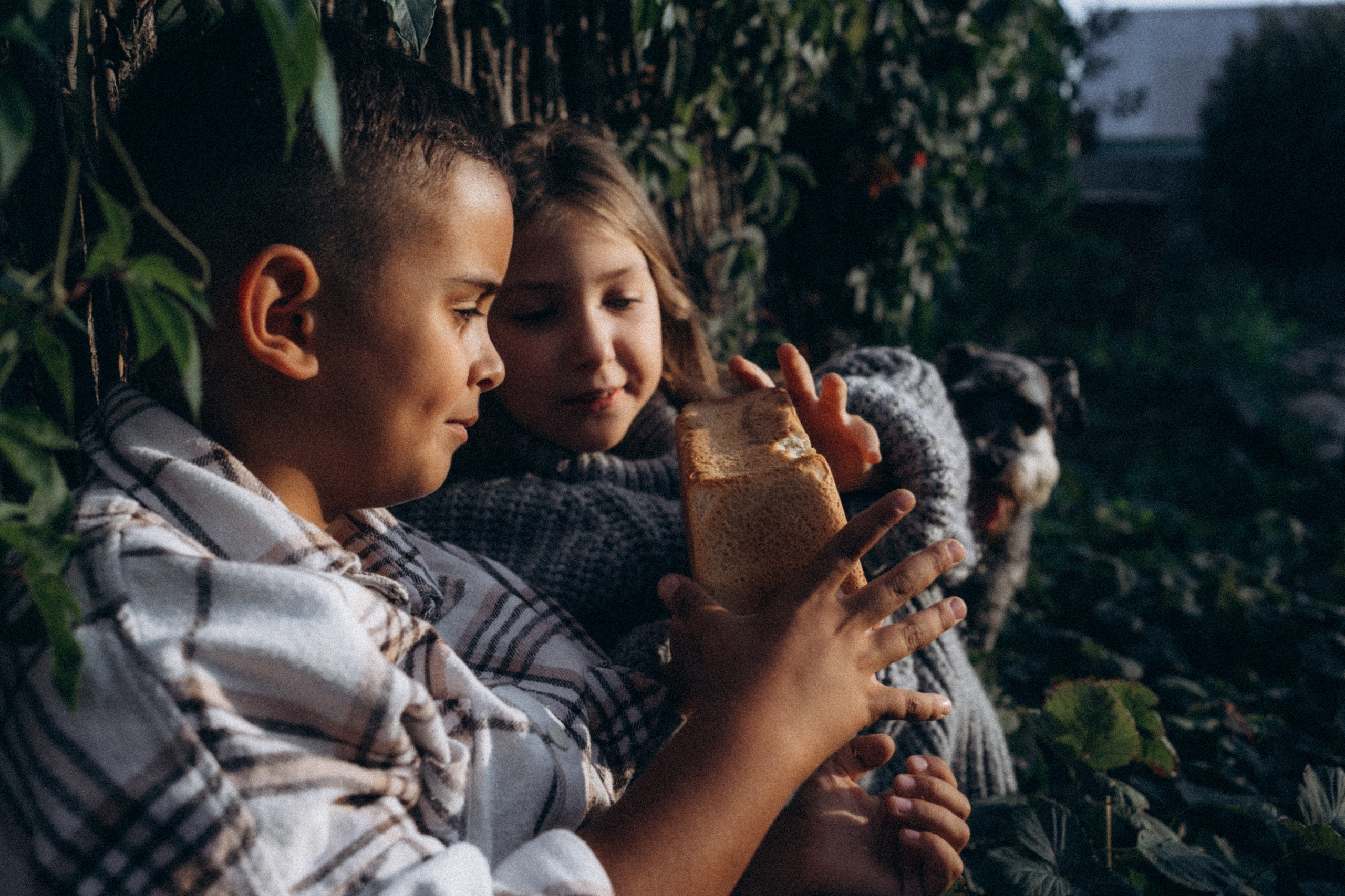 Батон хлеба на двоих. Семейный фотограф в Калининграде Елена Глазунова