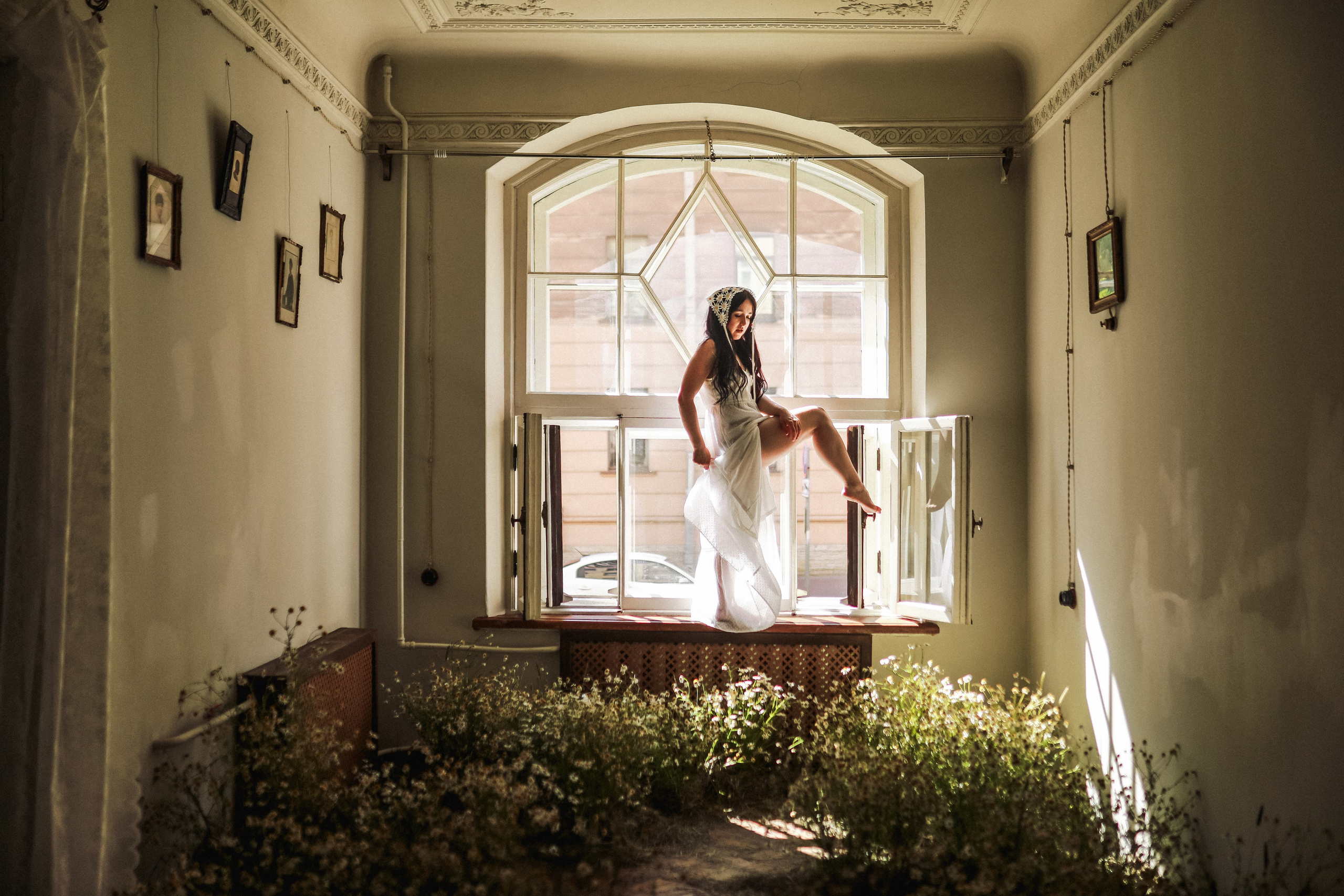 Сон в летнюю ночь | Ромашковое поле