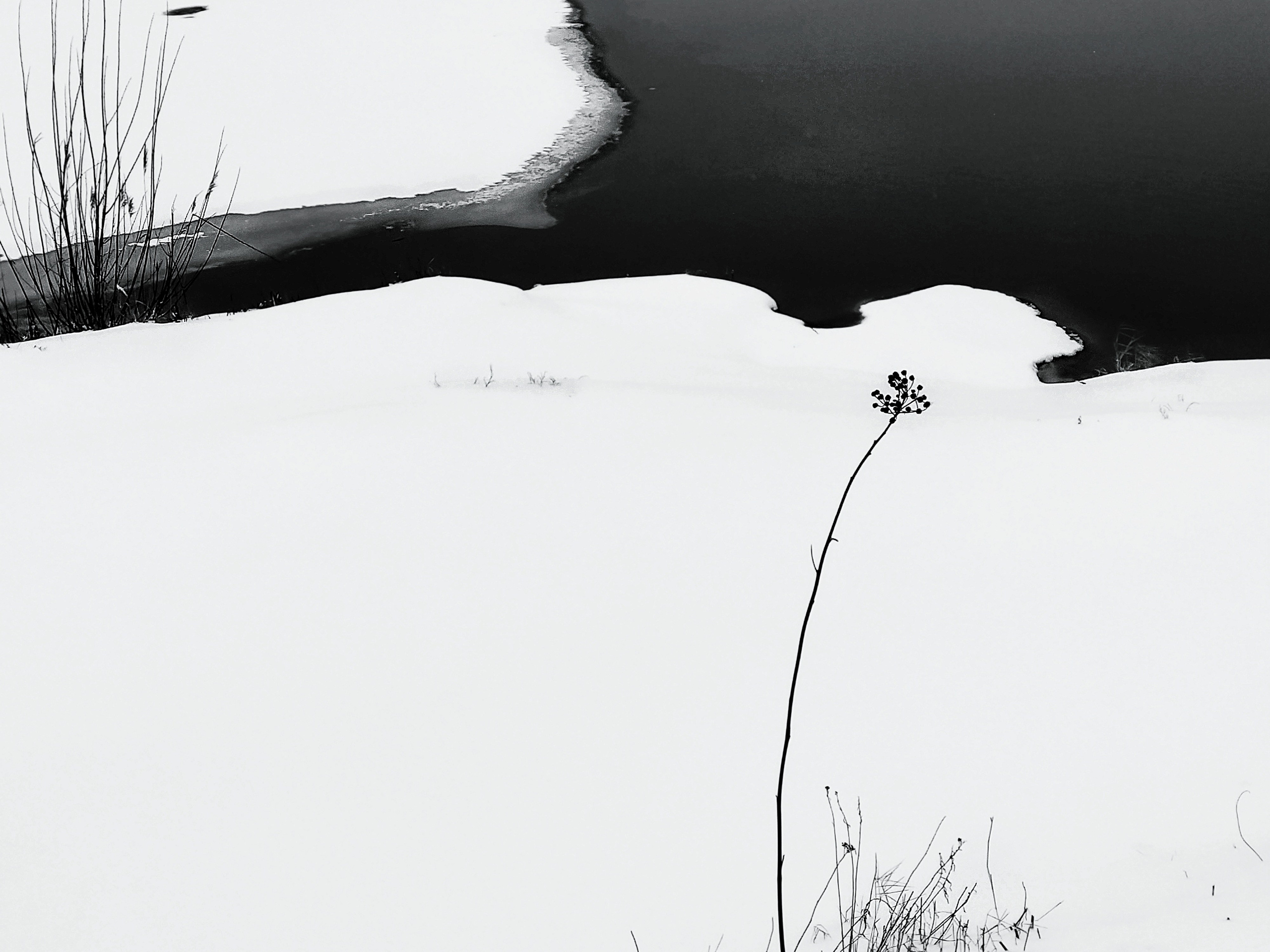 Бесшумная фотография. Tatyana Mazok творческий фотограф в Минске