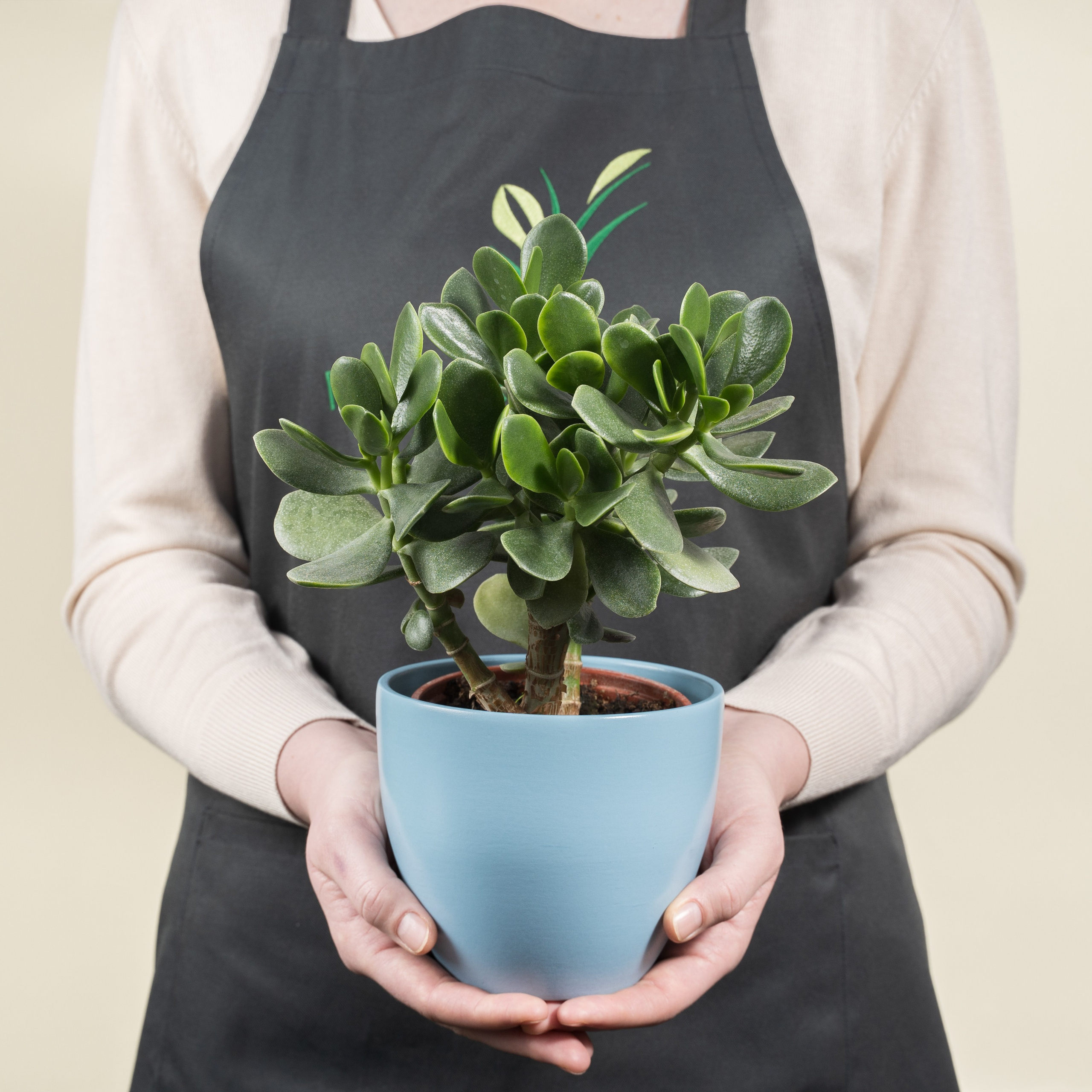 Pemsad. Михаил Белоусов фотограф Пермь