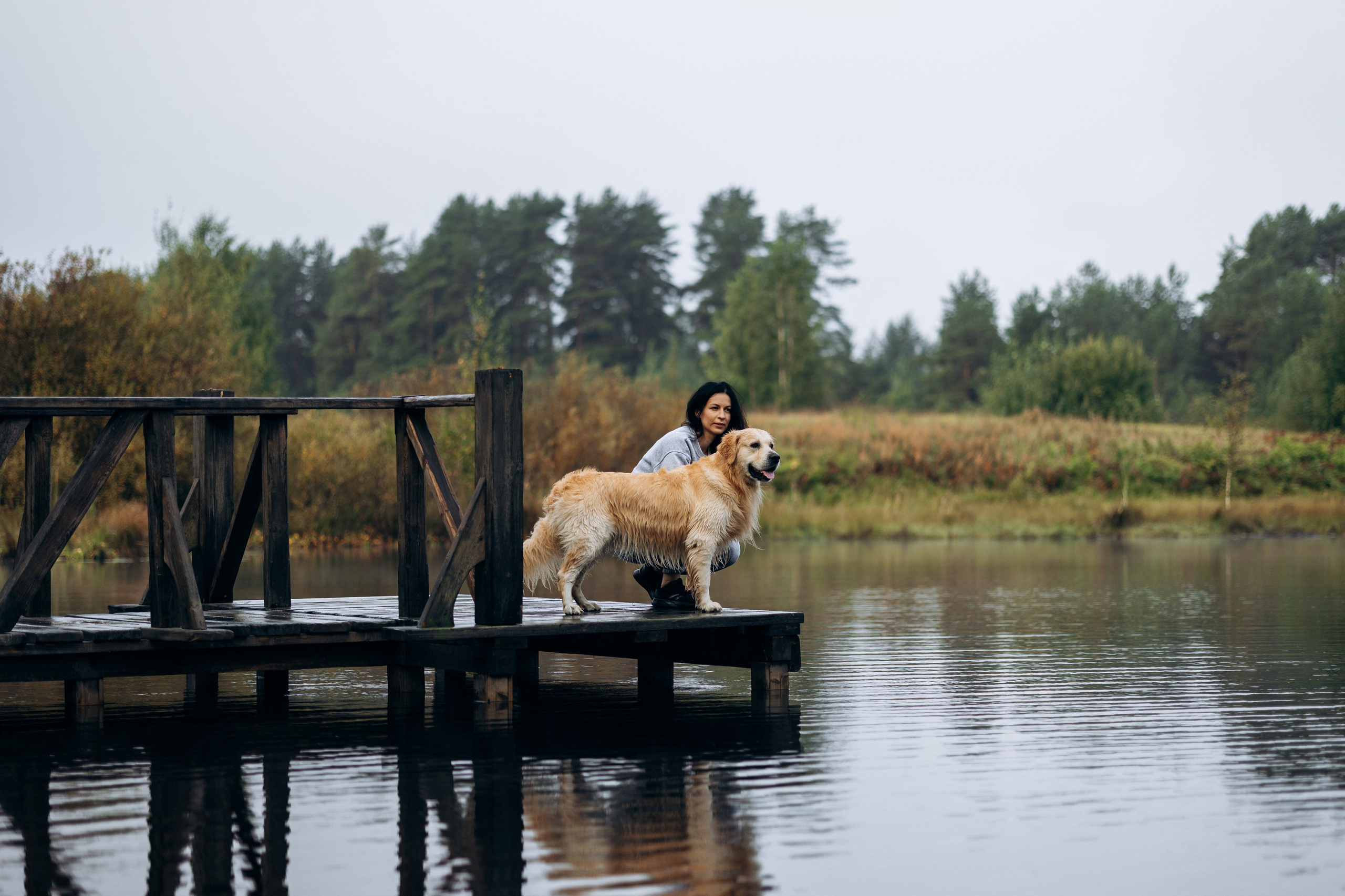 Лёва и его семья. Фотограф — Анималист | Санкт-Петербург