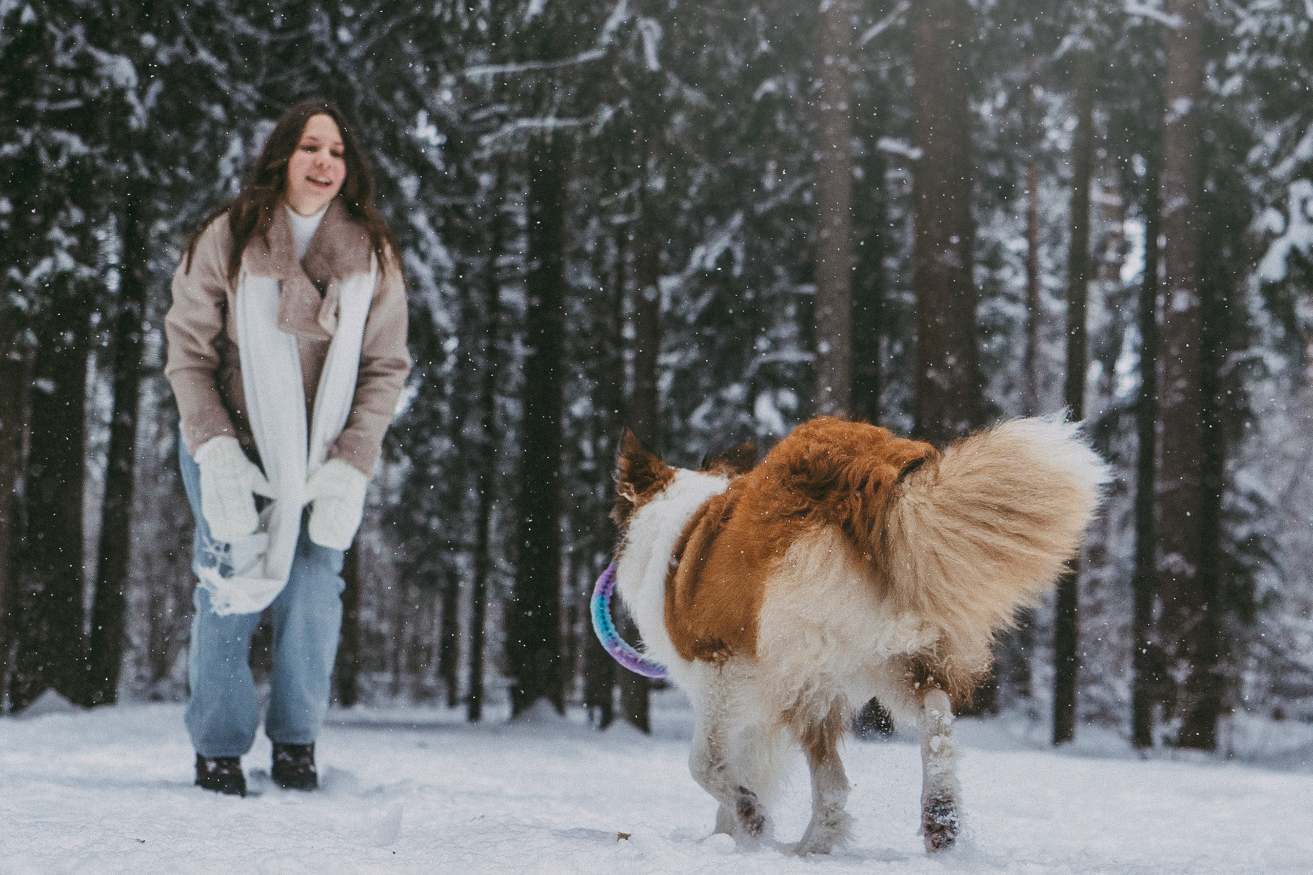 Катя, Анатолий и Елай. Фотограф анималист в Москве и Санкт-Петербурге Свиридова Анна