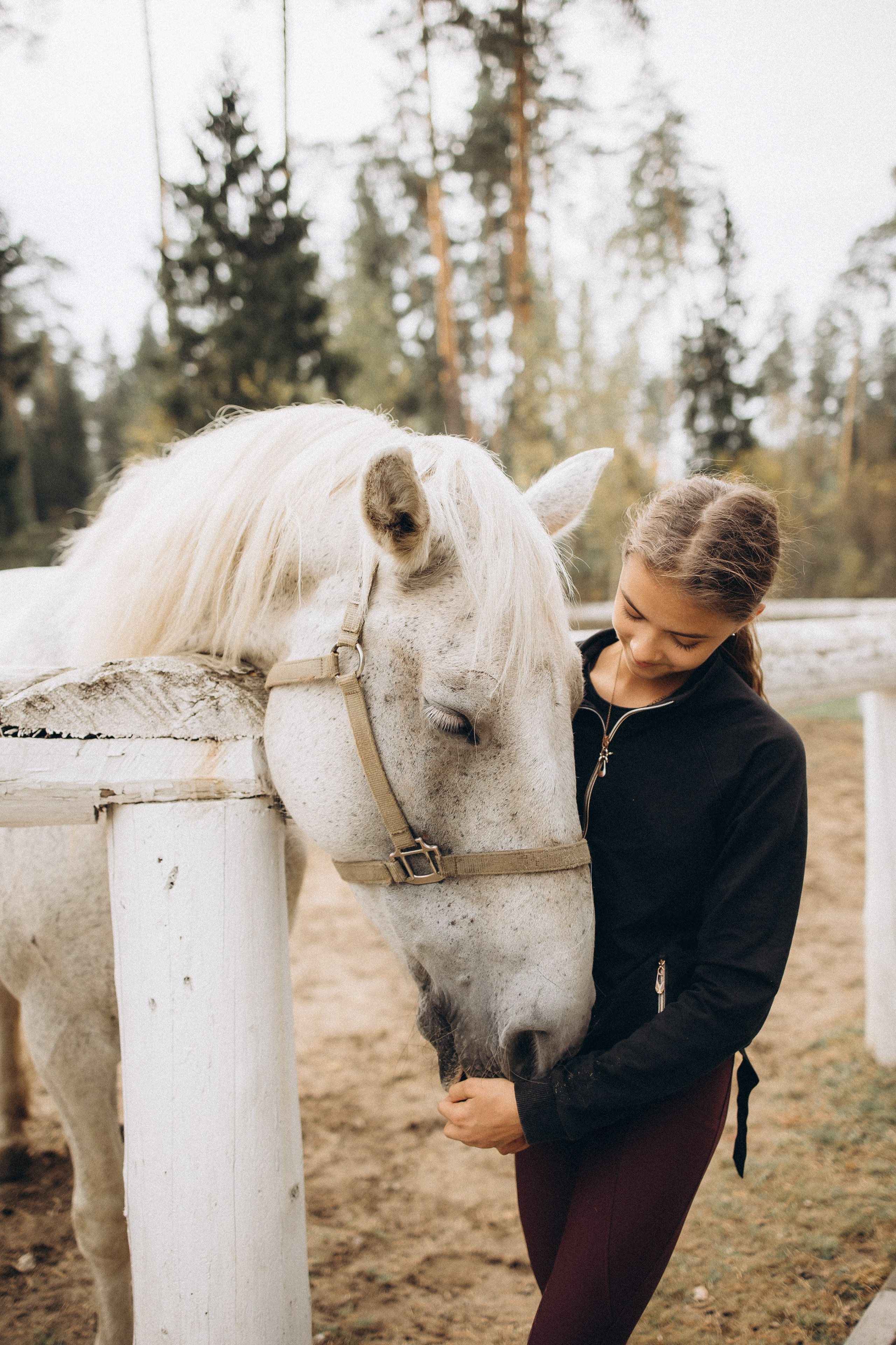 Лошади. Ваш фотограф в Москве и области Юлия