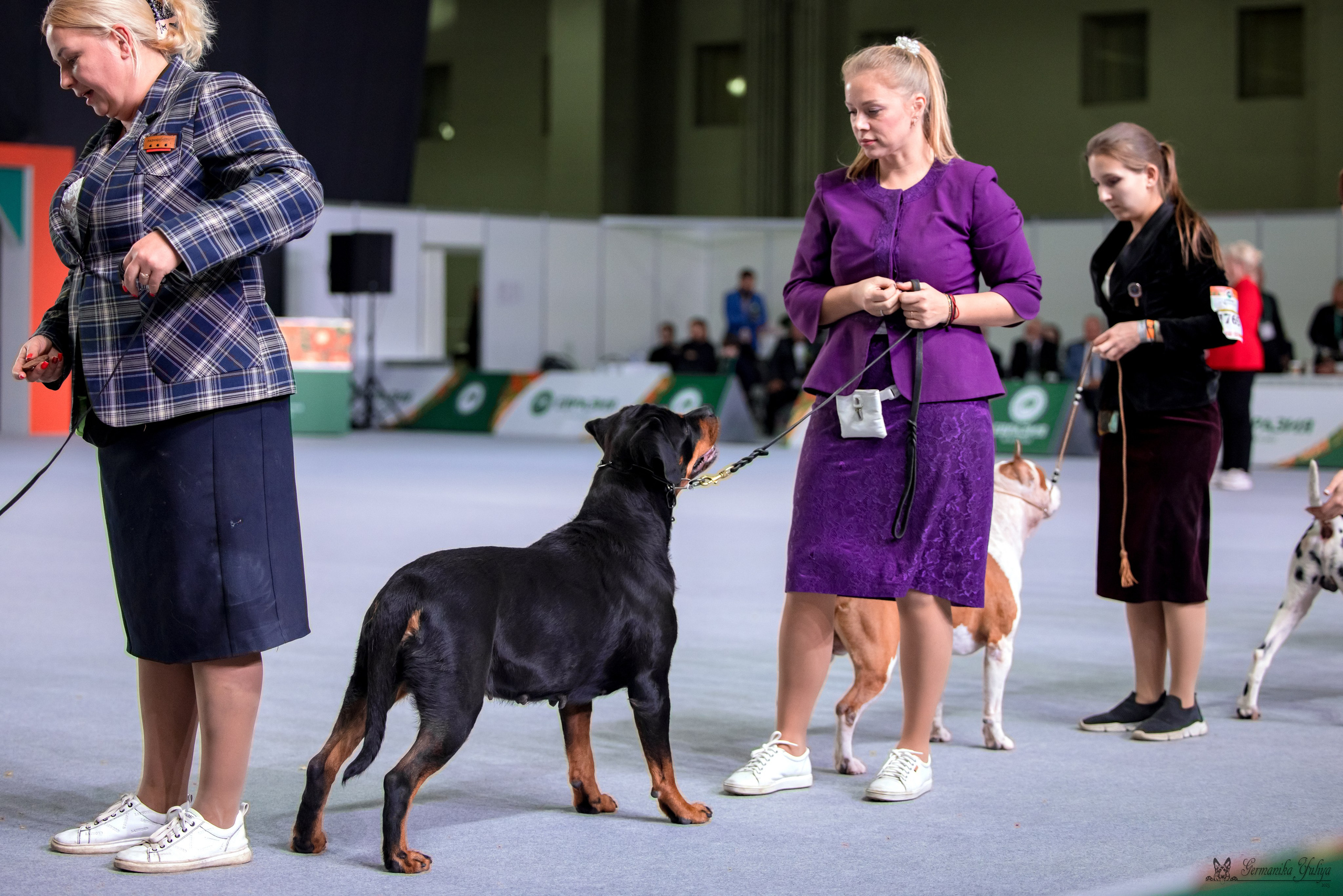 ЕВРАЗИЯ 18-19.11.2023. Фотограф-анималист Юлия Германика