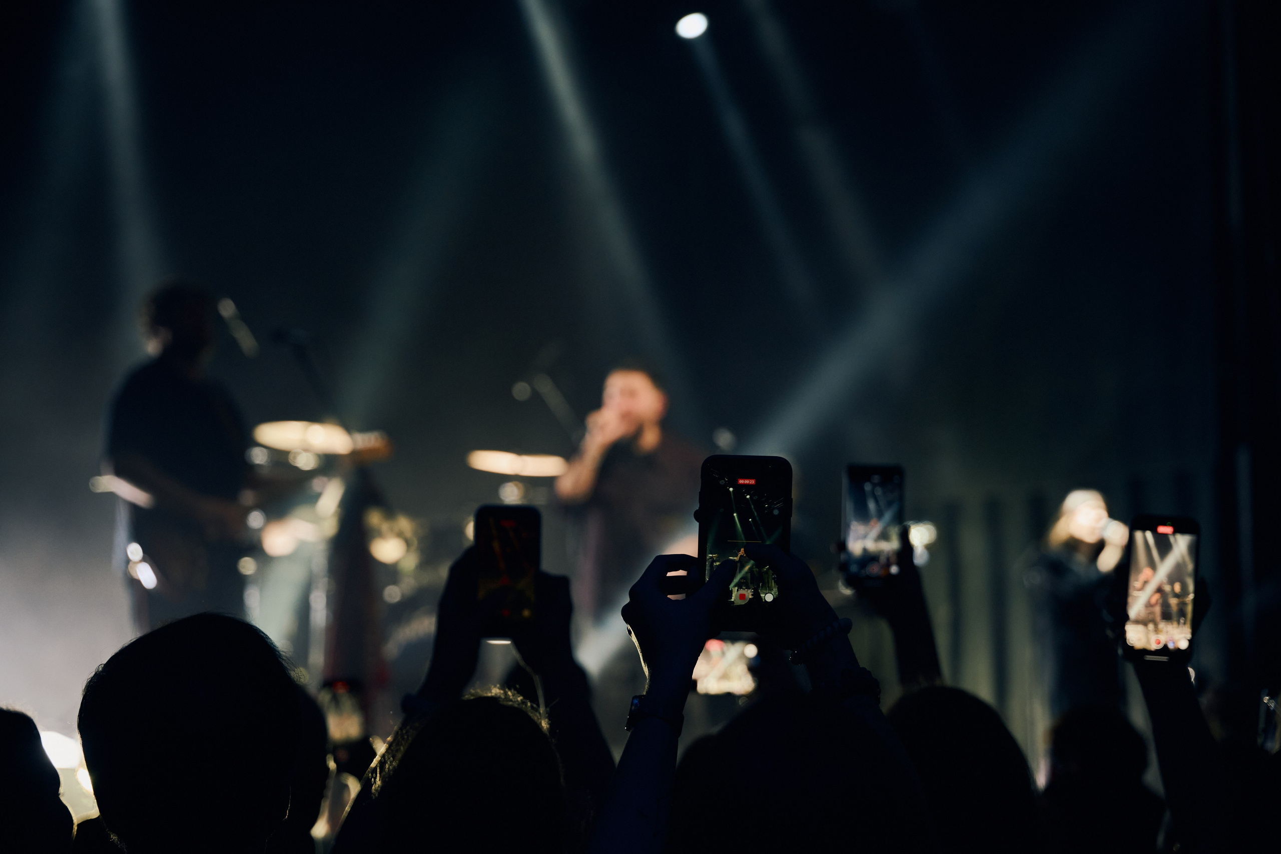 Sula Fray. Главная