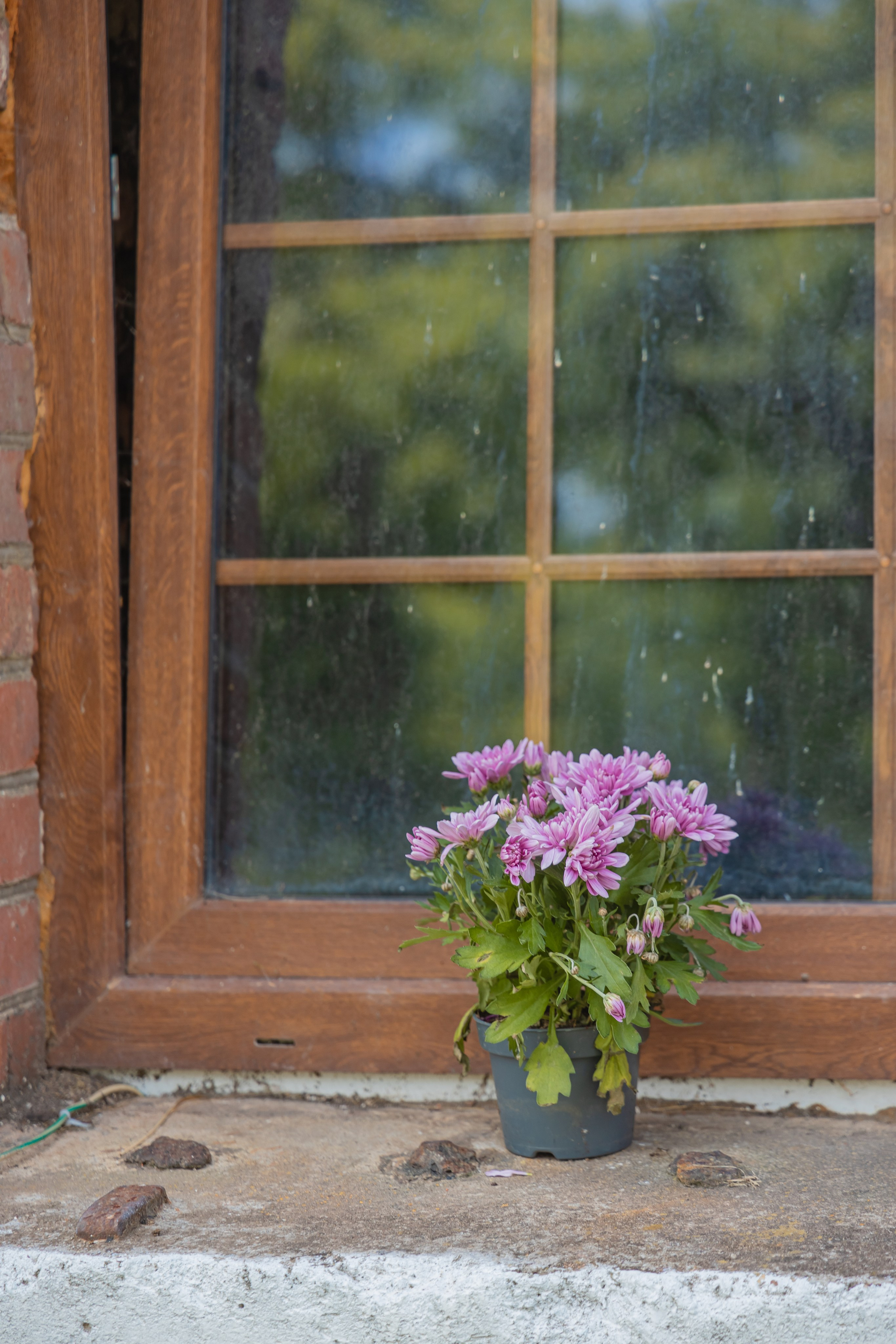 Форт 11. Фотограф Елена Медок Калининград