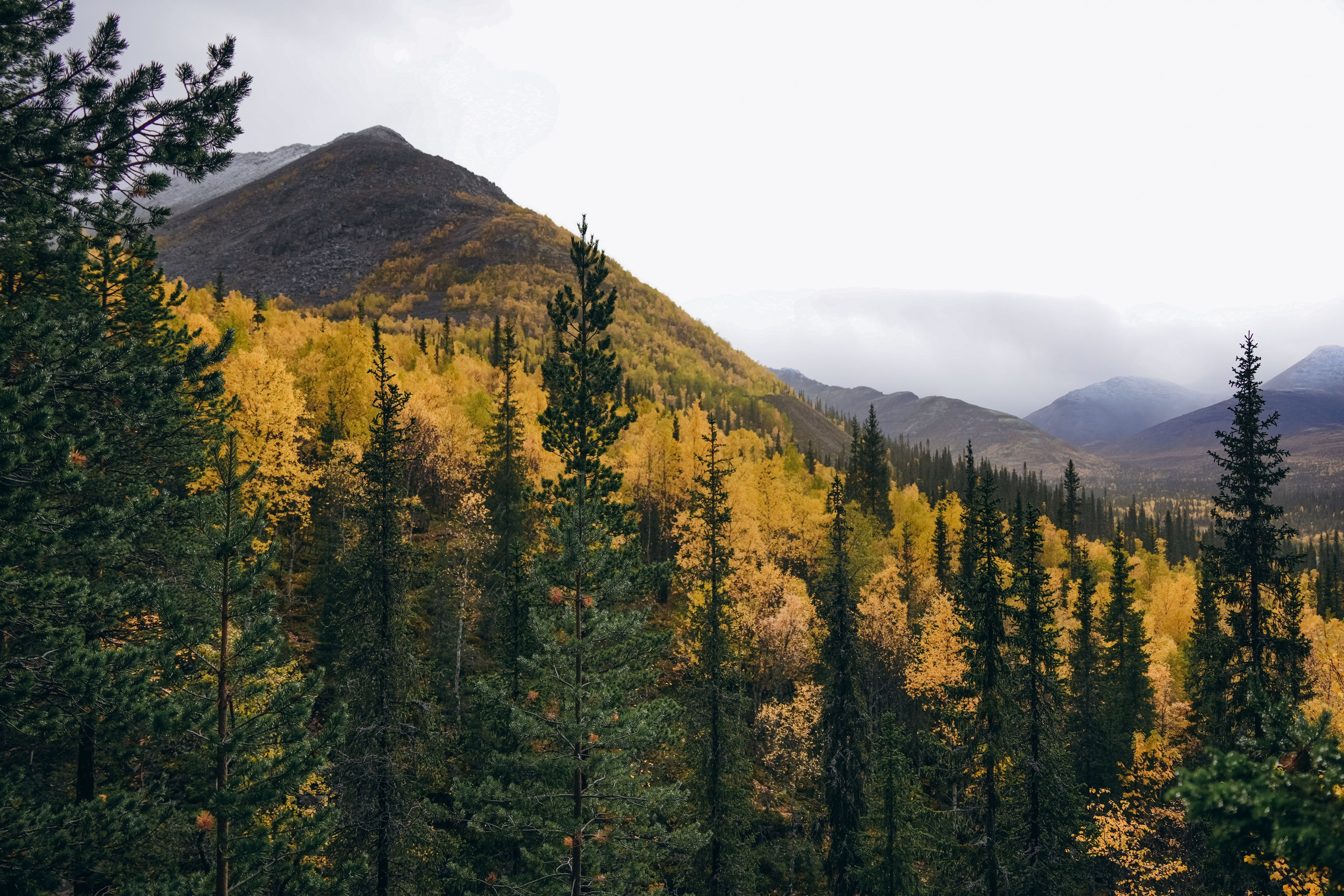 СЕВЕР. Event фотограф Степанова Александра