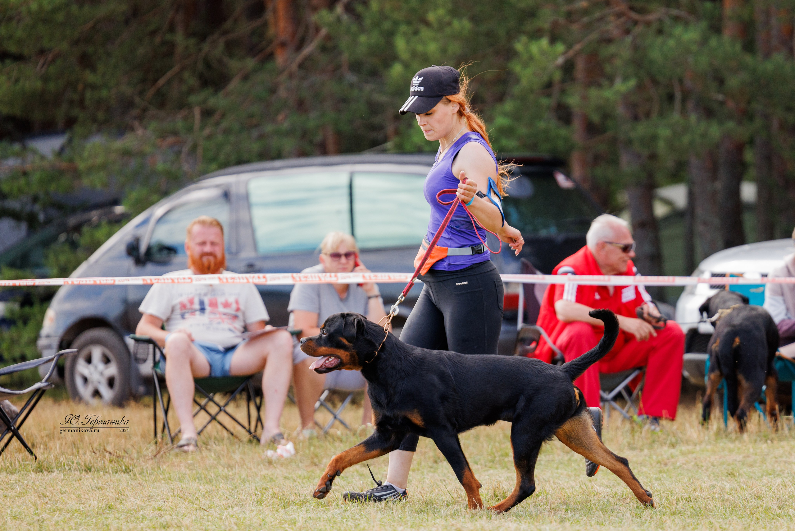 ПК и КЧК ротвейлеры Тверь 6-7.07.2024. Фотограф-анималист Юлия Германика