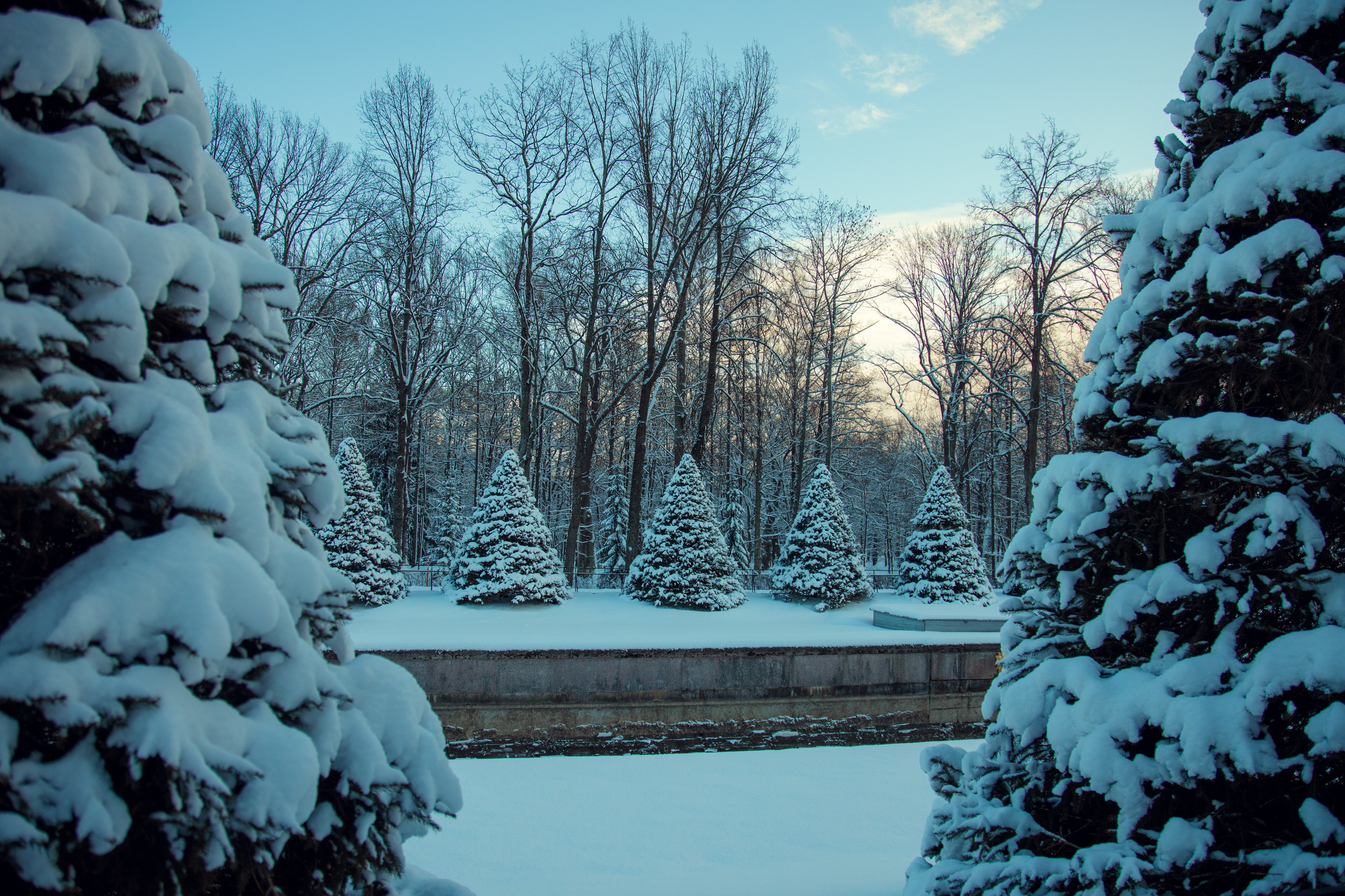 Петергоф нижний парк фото