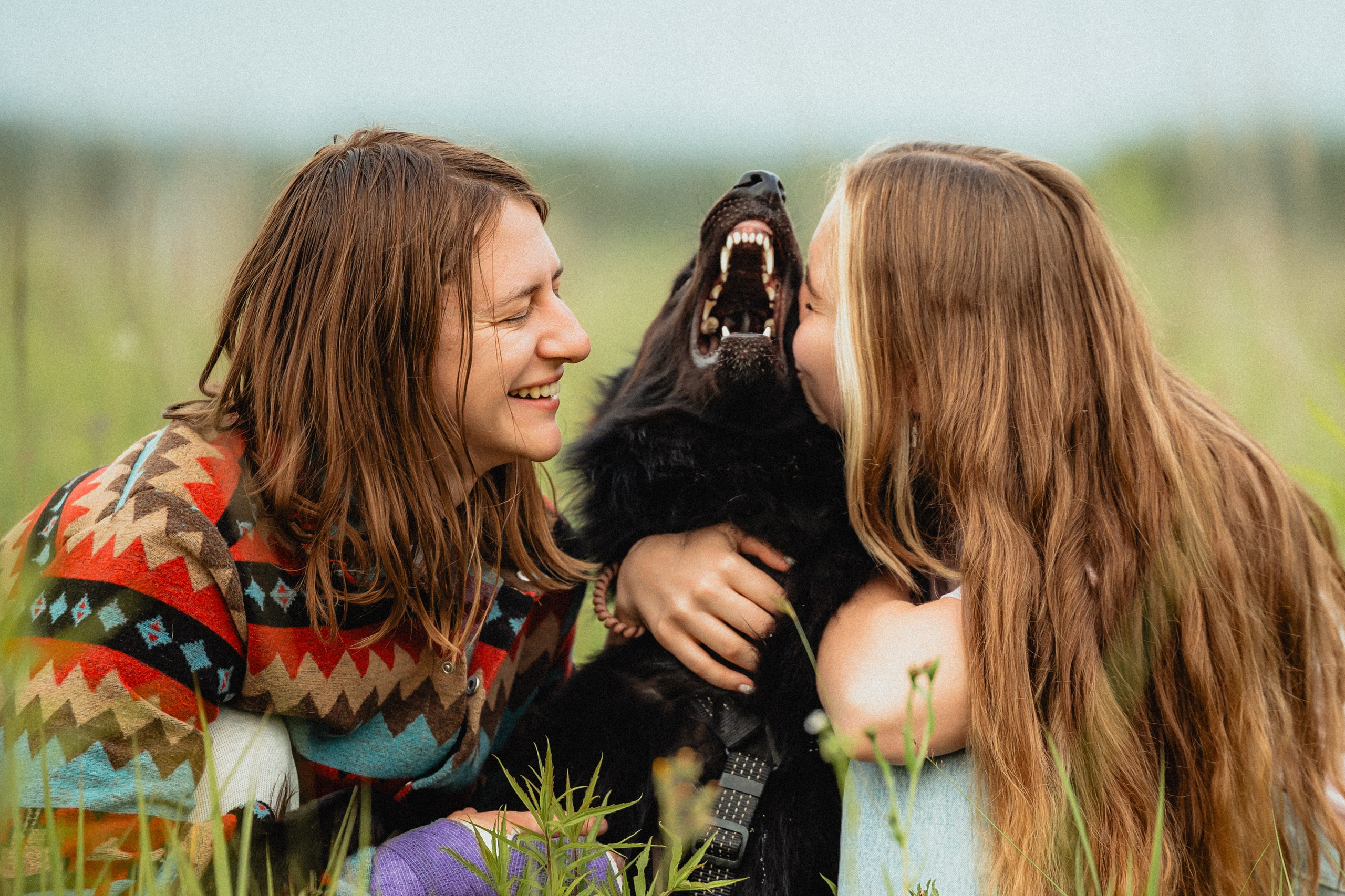 Выездной дог-тренинг от школы «Шерсть имею»