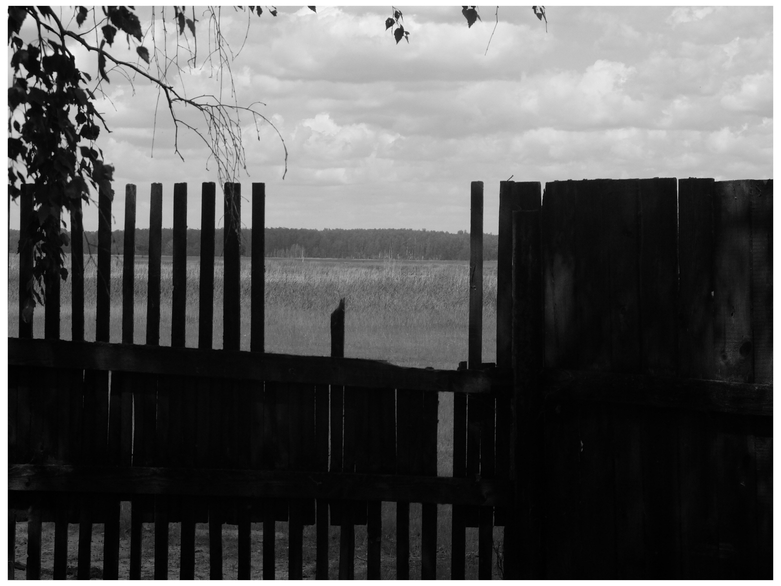 Промежуточные моменты (2022)