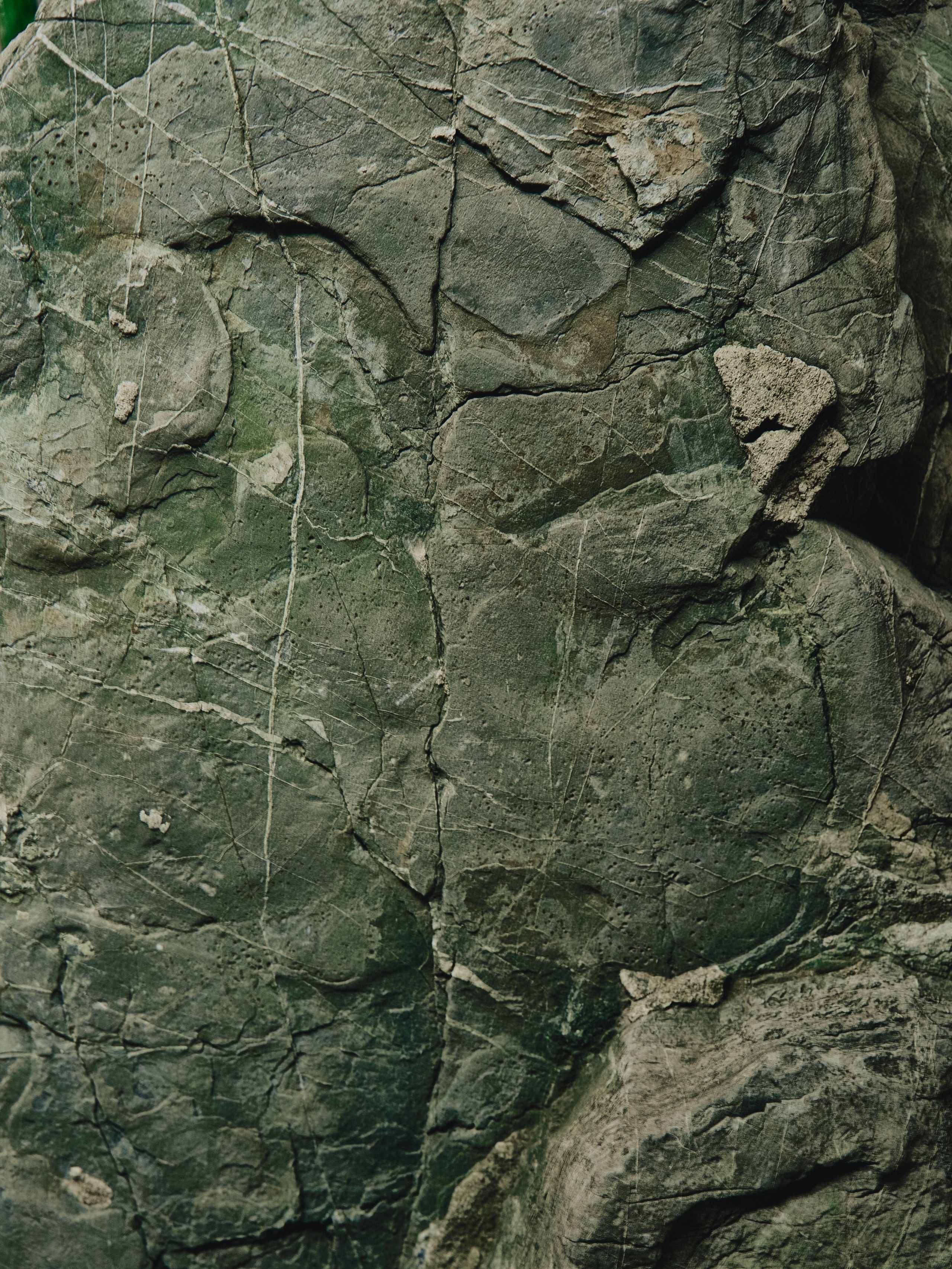 Asia. Olya Filina | Moscow Photographer