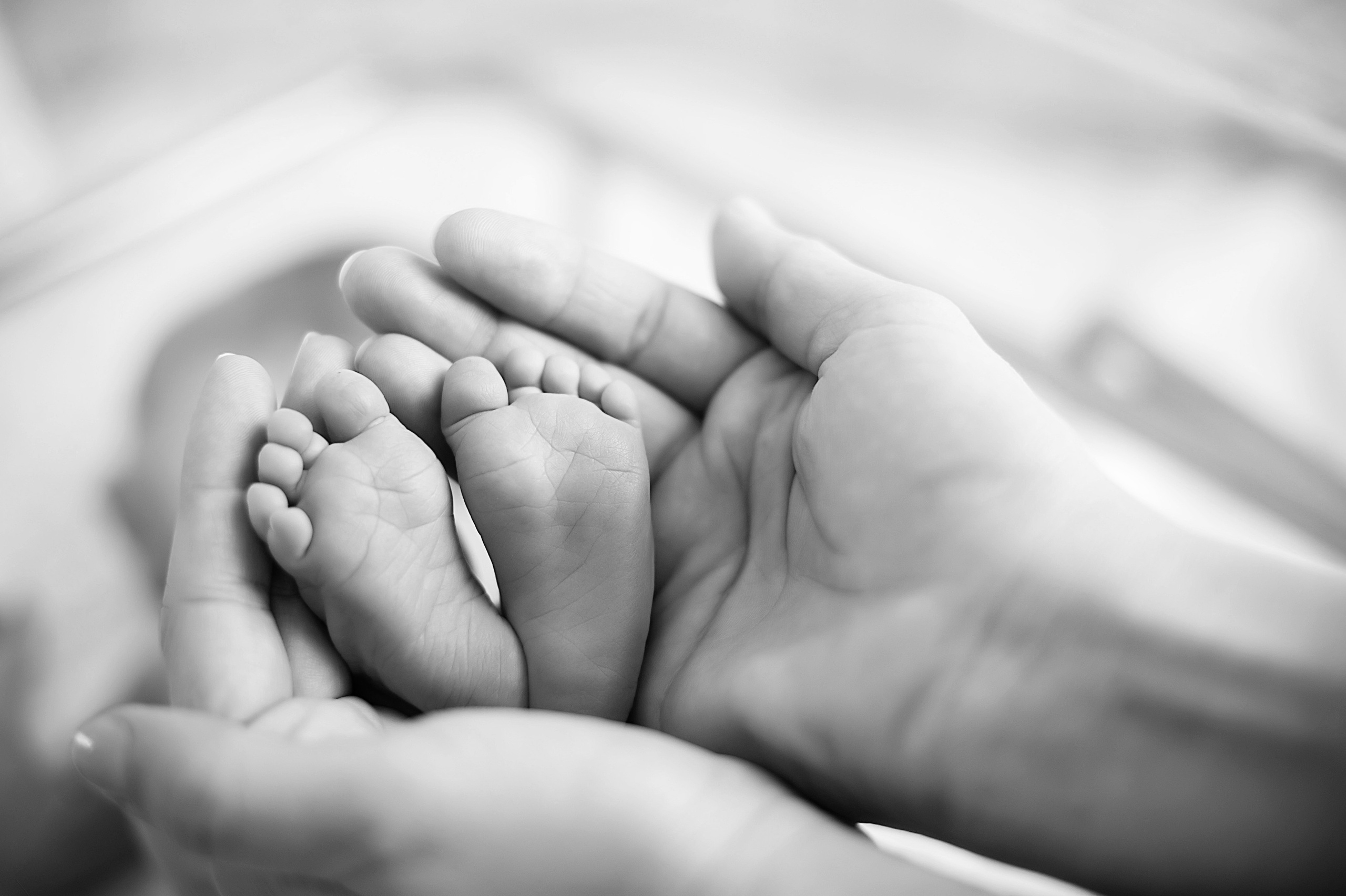 РОДДОМ. Фотограф Вера Демидкова