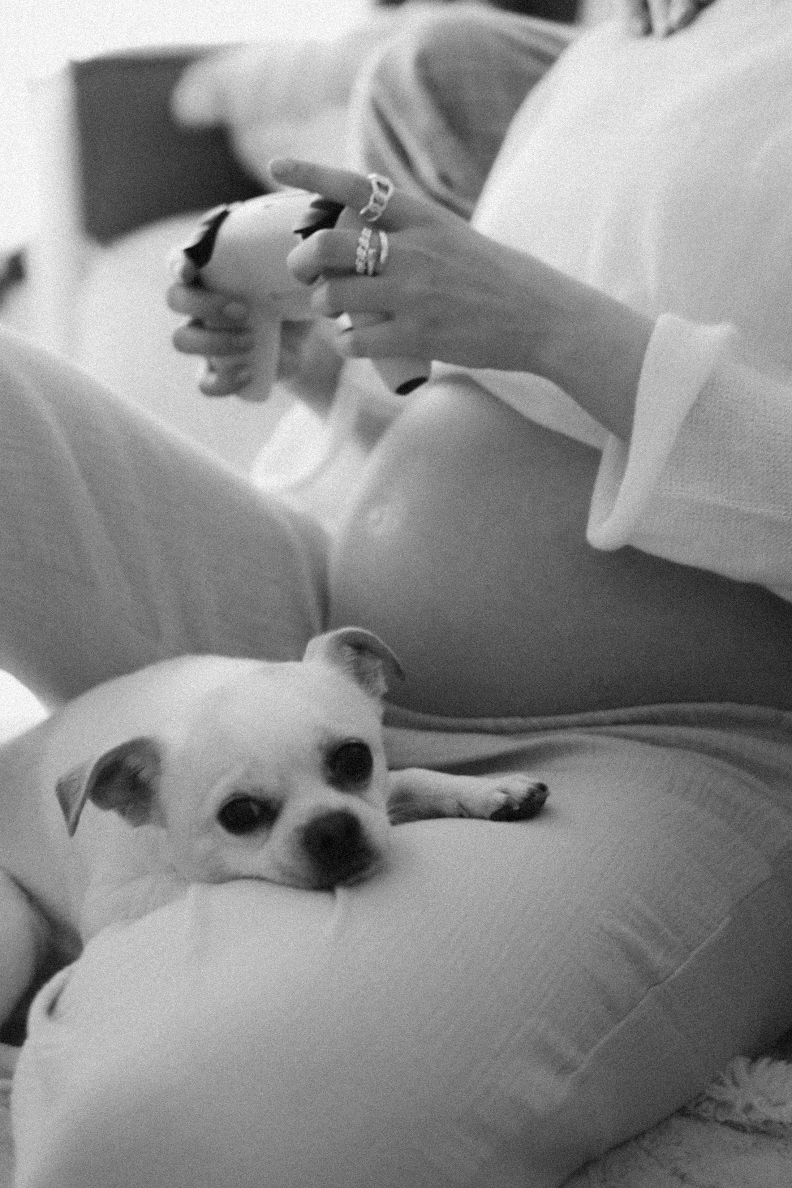 Марьям и Серафим. Фотограф НатаФото (Наталья Яковенко) Дмитров Москва Питер