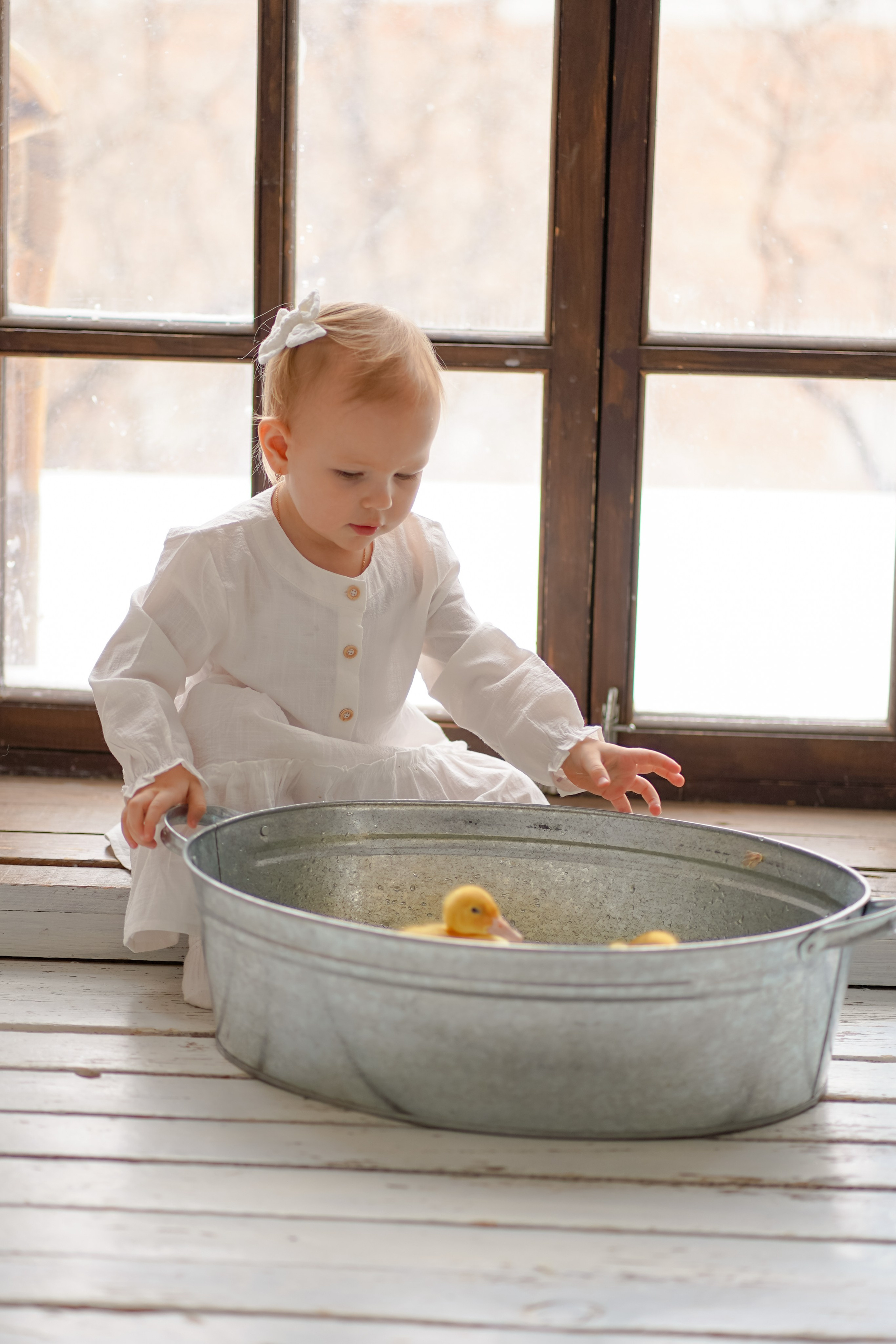 Пасхальные. Фотограф Татьяна Митрофанова