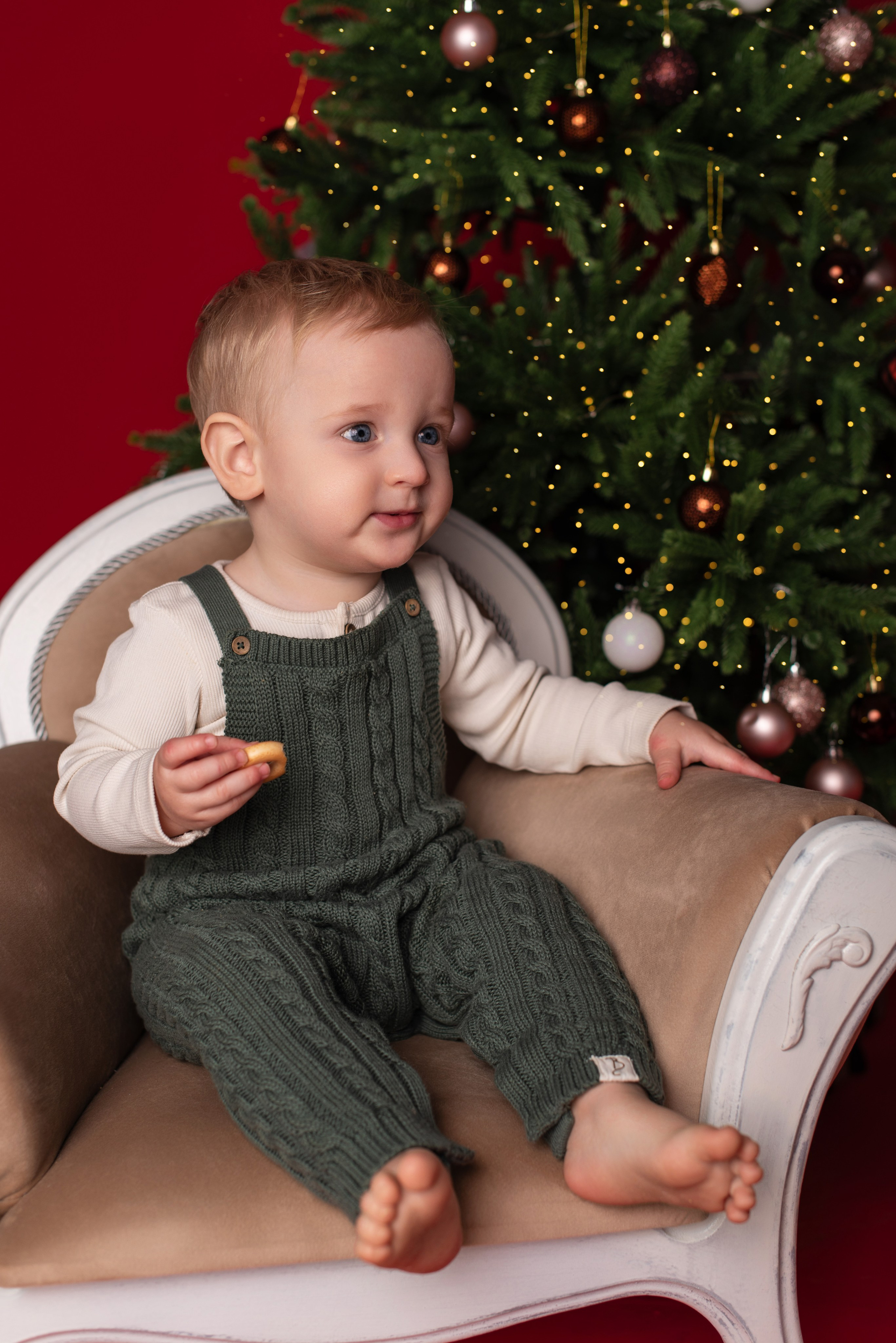 Новый год. Фотограф новорожденных и беременности Сергиев Посад Усачева Ирина