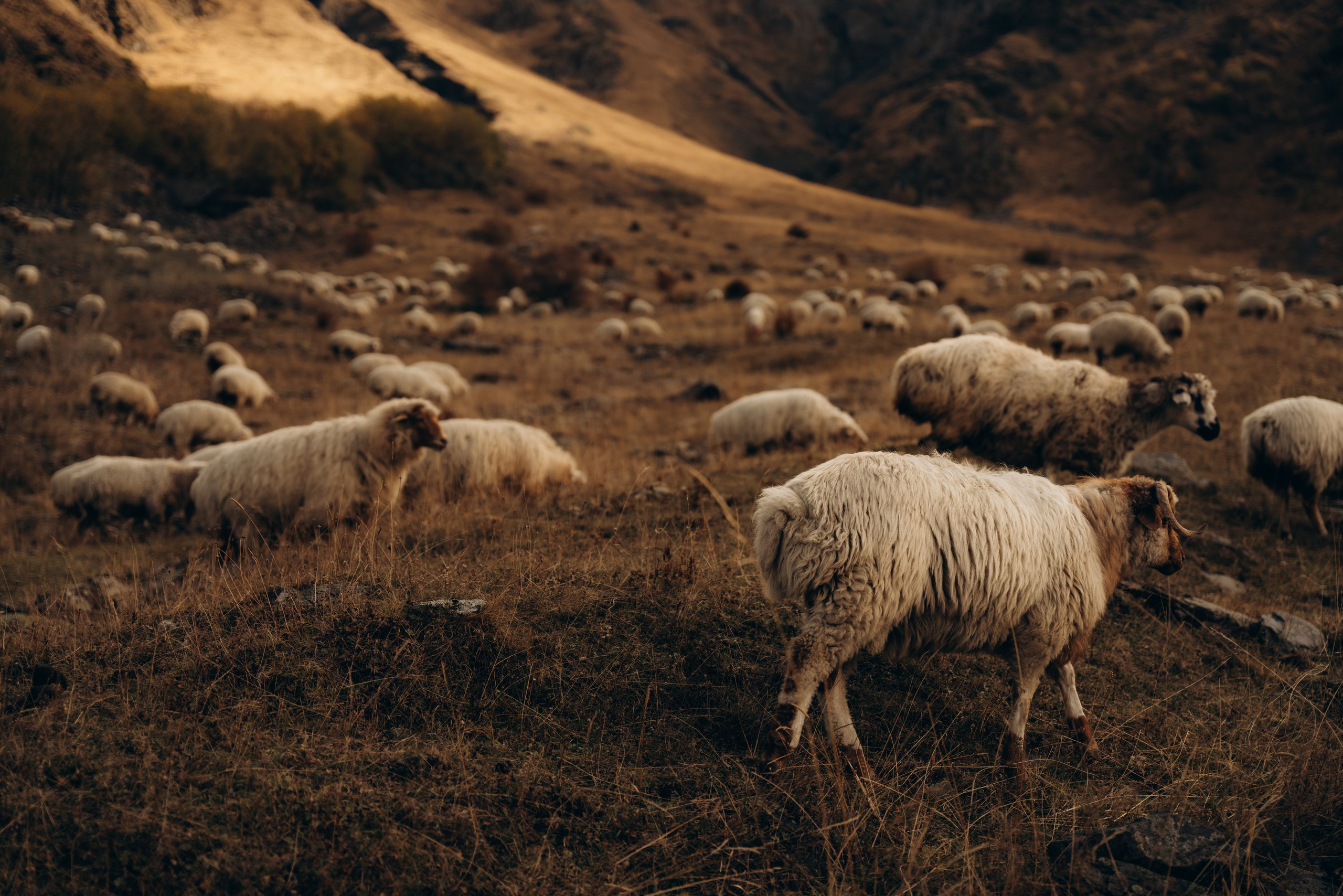 Грузия. Фотограф в Минске — Мария Миллс