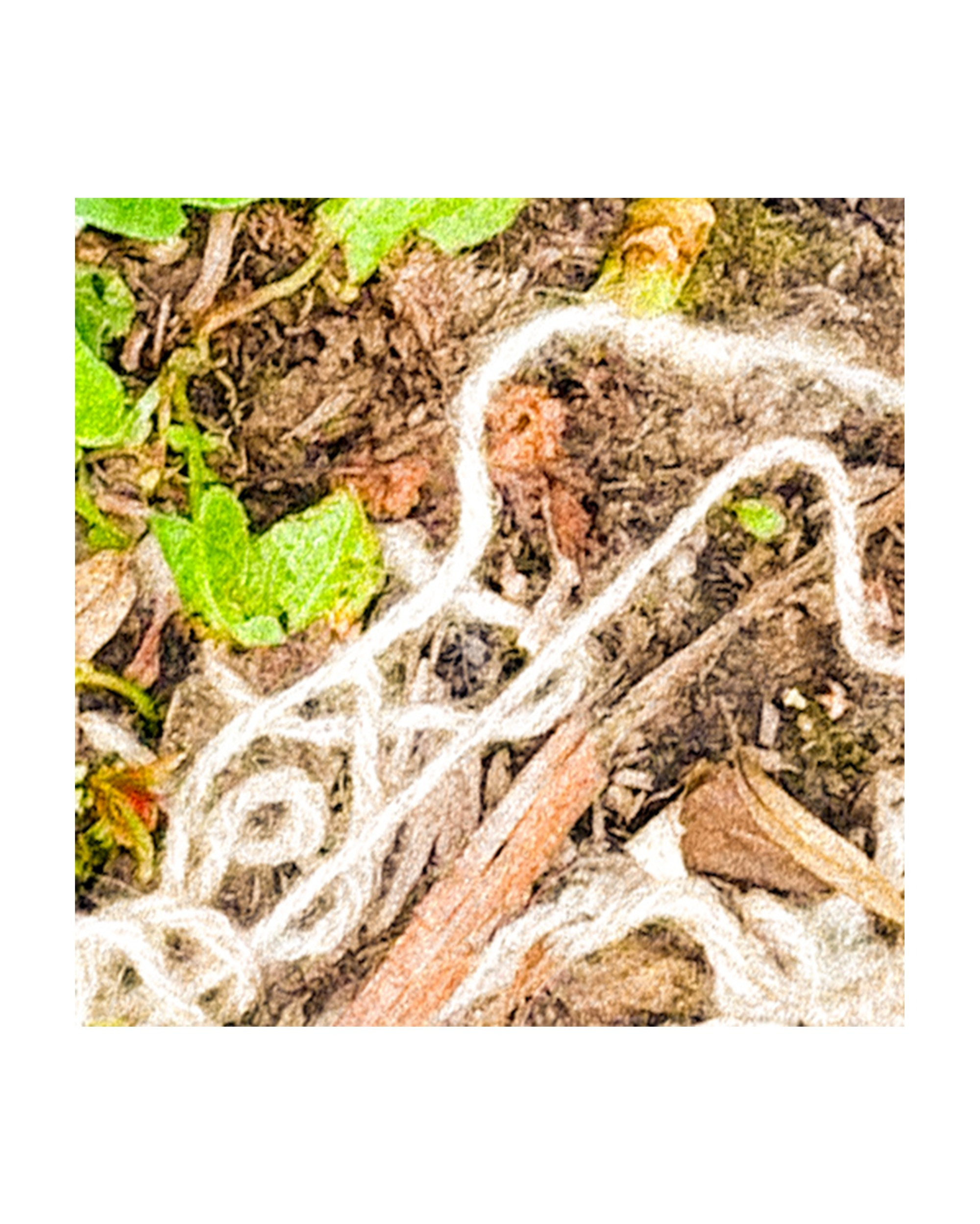 Mobile street art. Портретный фотограф в Москве