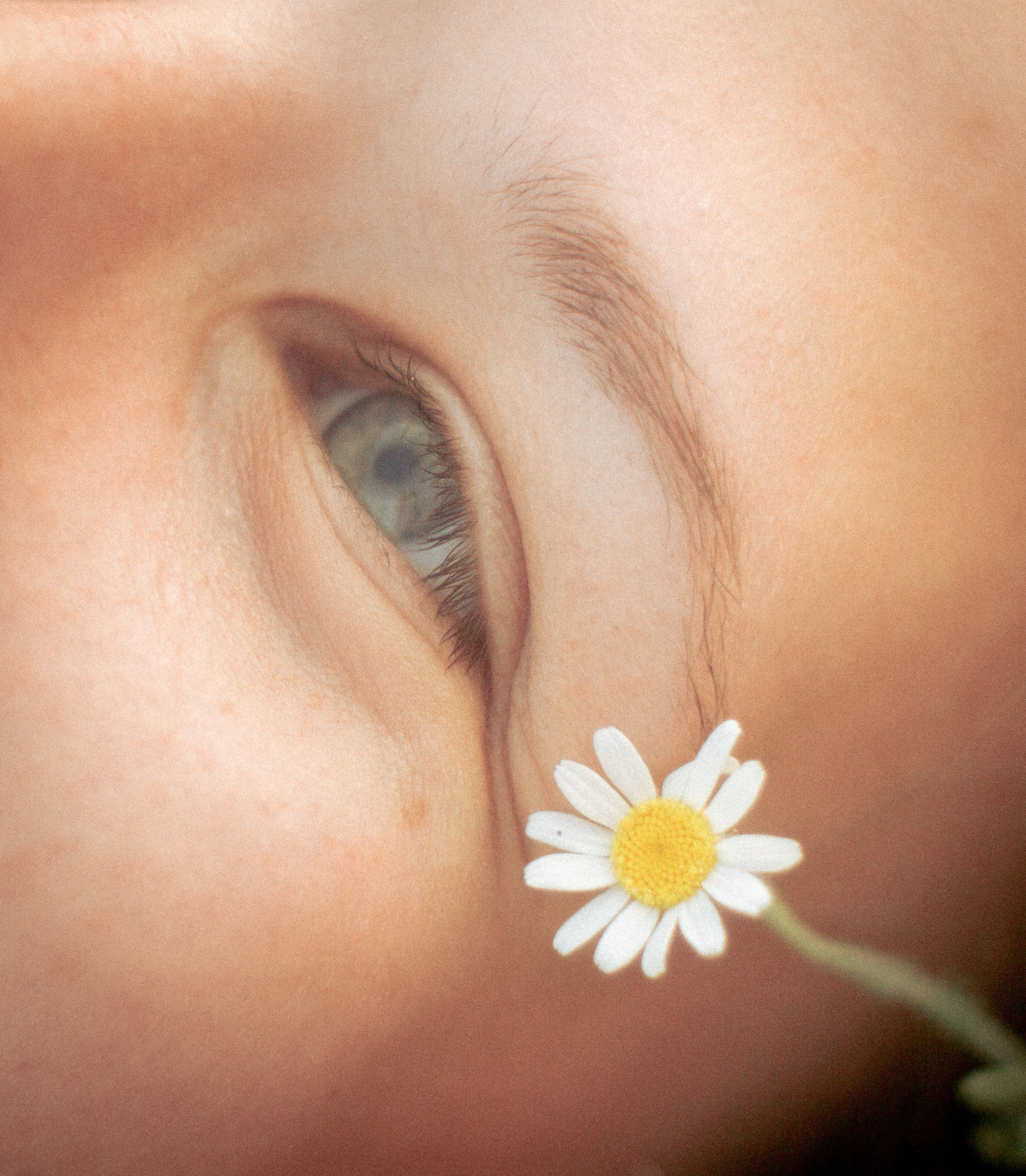 Тихий ветер. • Фотограф Александра Светозар Алчевск •