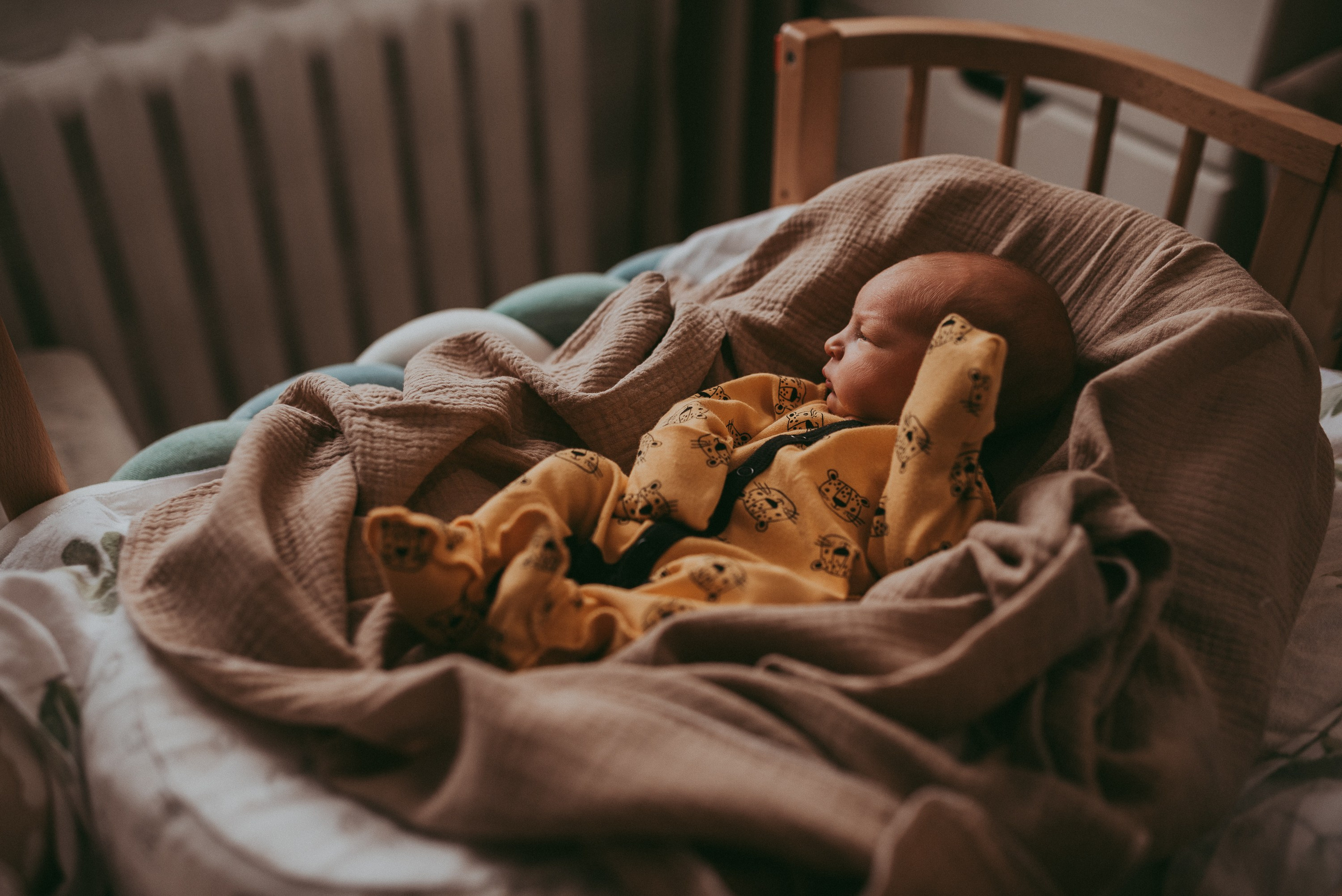 Маленький космос. Семейный и детский фотограф в Новосибирске и Краснообске — Анна Ким