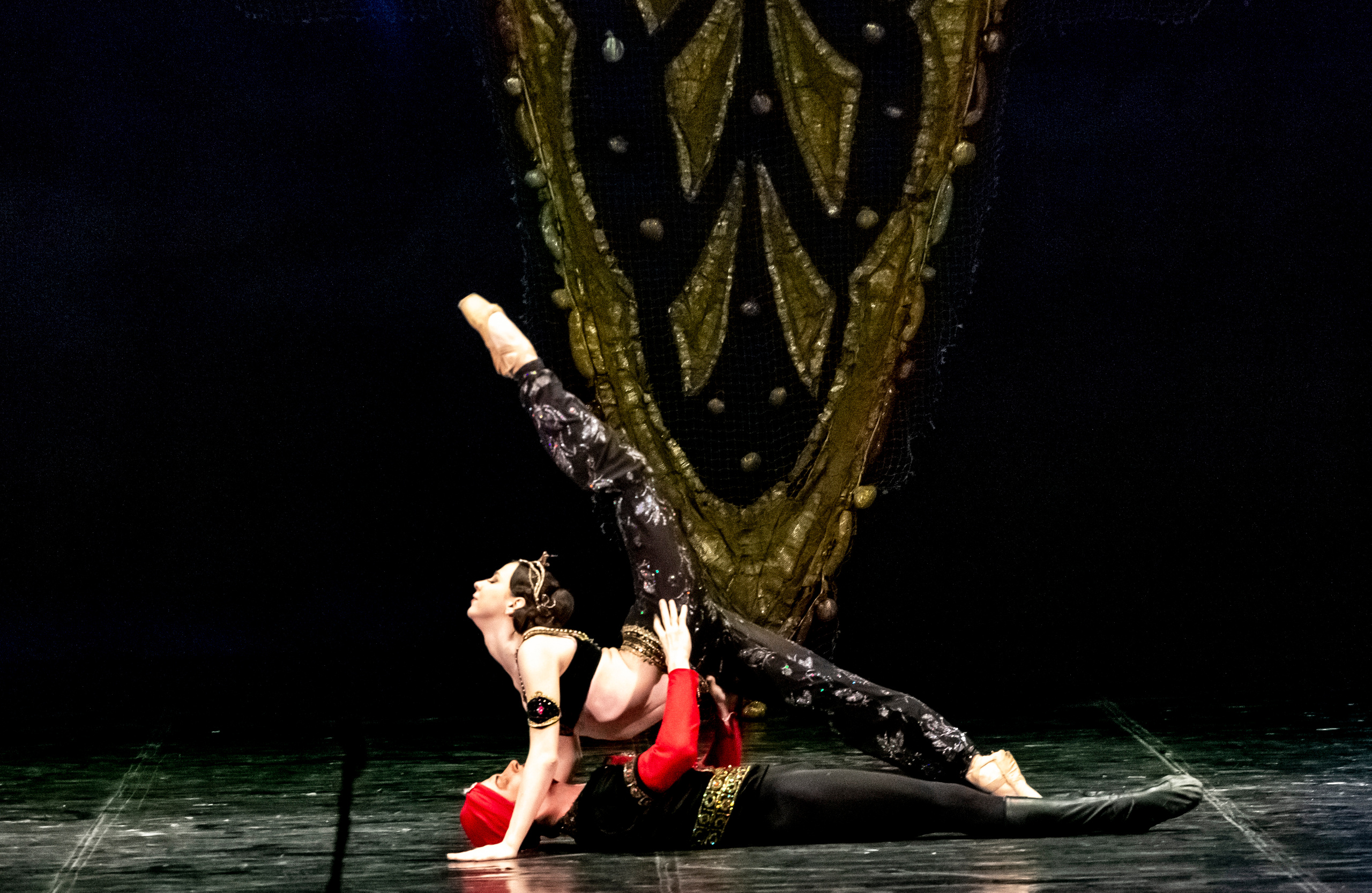 Балет Донбасс-опера спектакль «Тысяча и одна ночь». Фотограф в Сочи Юрий Шептаев