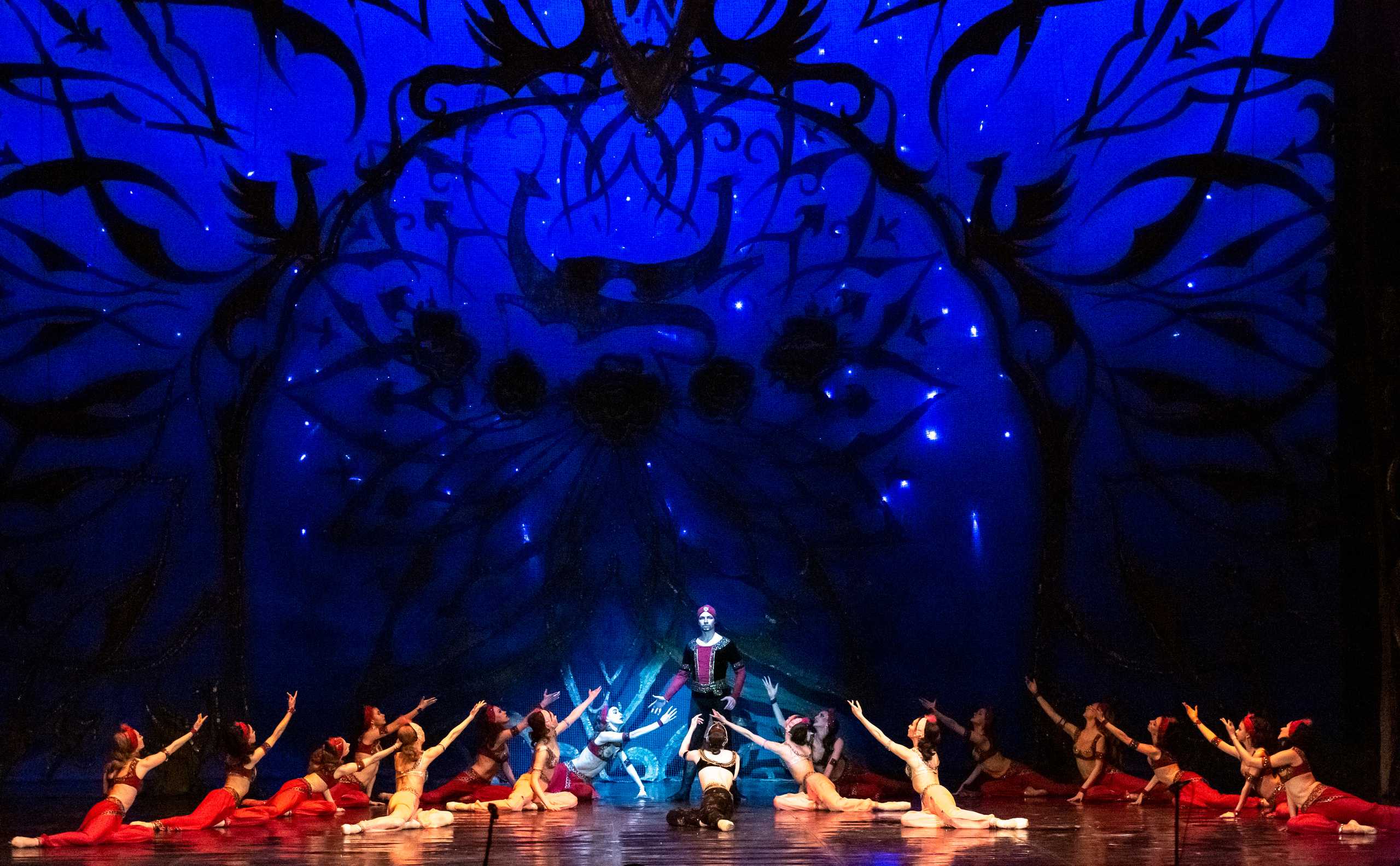 Балет Донбасс-опера спектакль «Тысяча и одна ночь». Фотограф в Сочи Юрий Шептаев