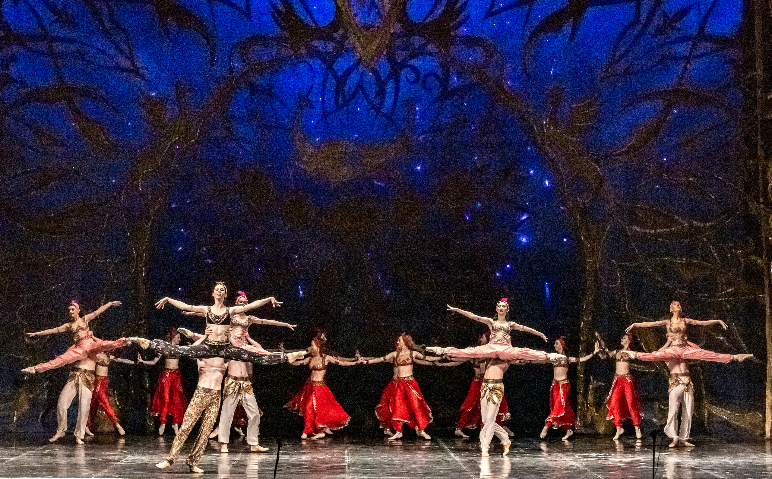 Балет Донбасс-опера спектакль «Тысяча и одна ночь». Фотограф в Сочи Юрий Шептаев