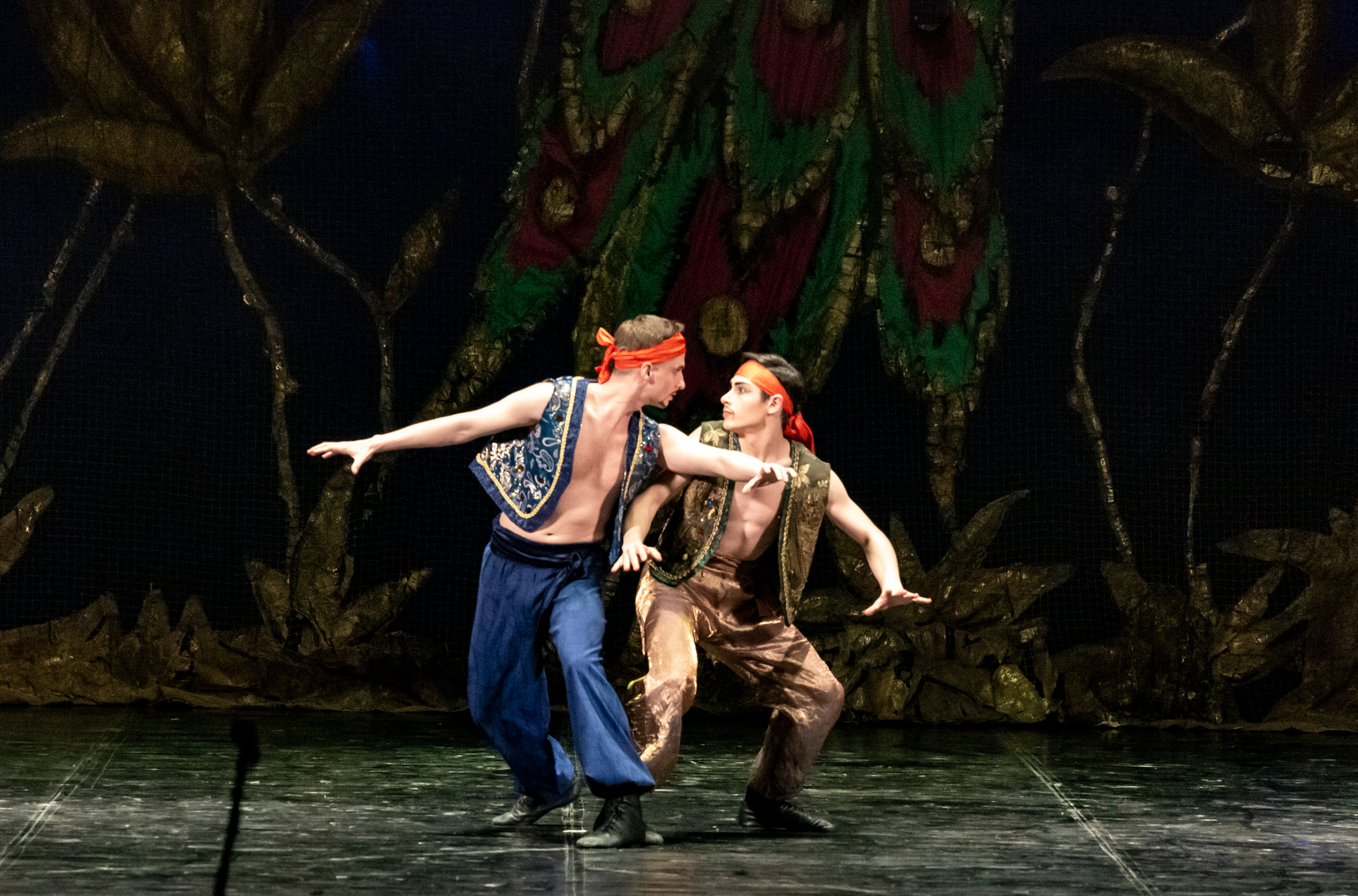 Балет Донбасс-опера спектакль «Тысяча и одна ночь». Фотограф в Сочи Юрий Шептаев