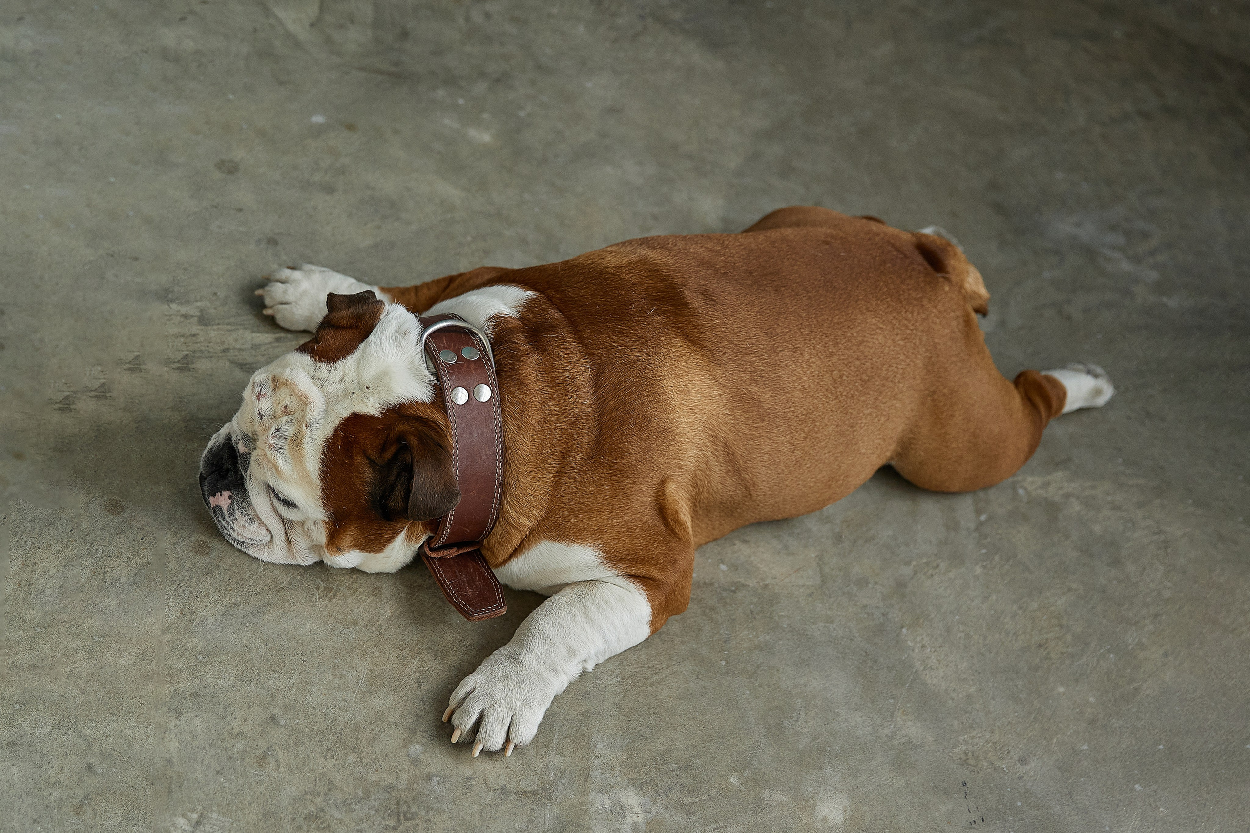 Наталья. Фотограф женского портрета, беременности и материнства Харькова Елена