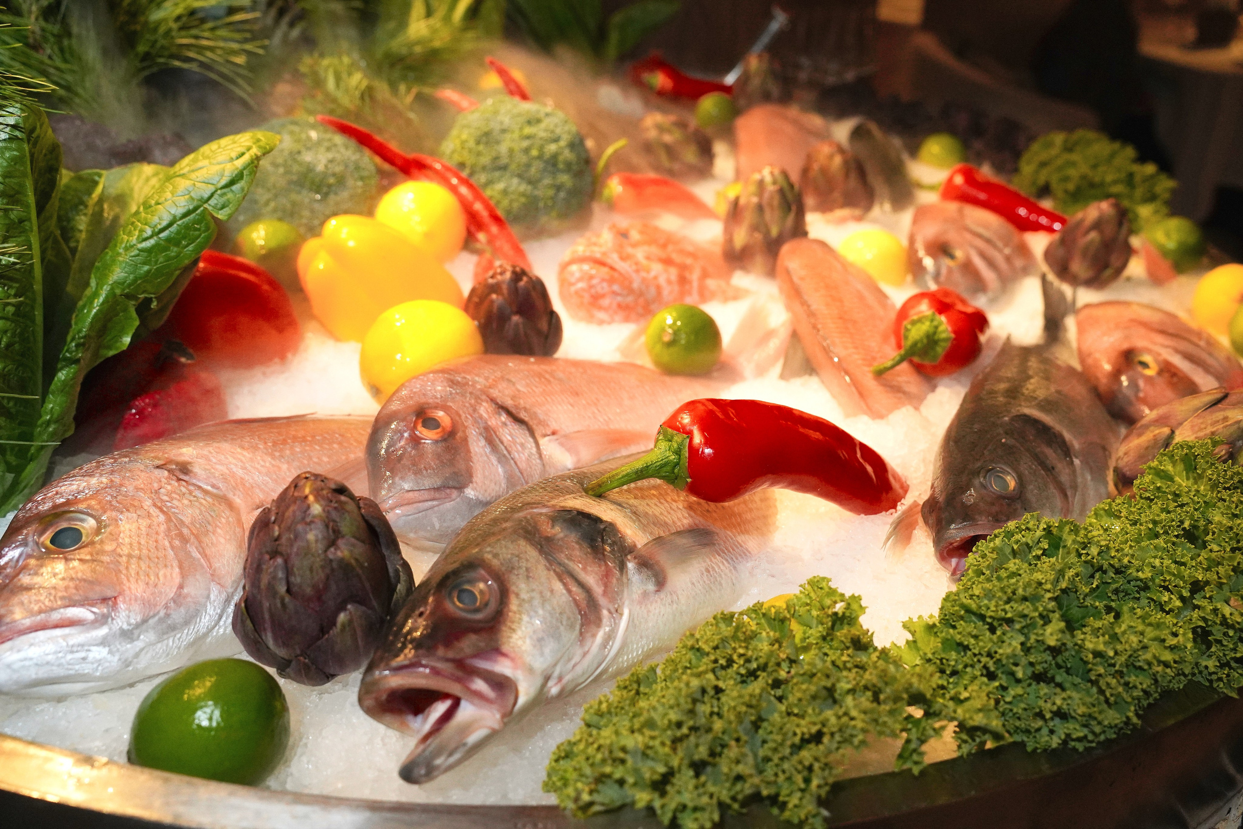 ZEA. Фотограф