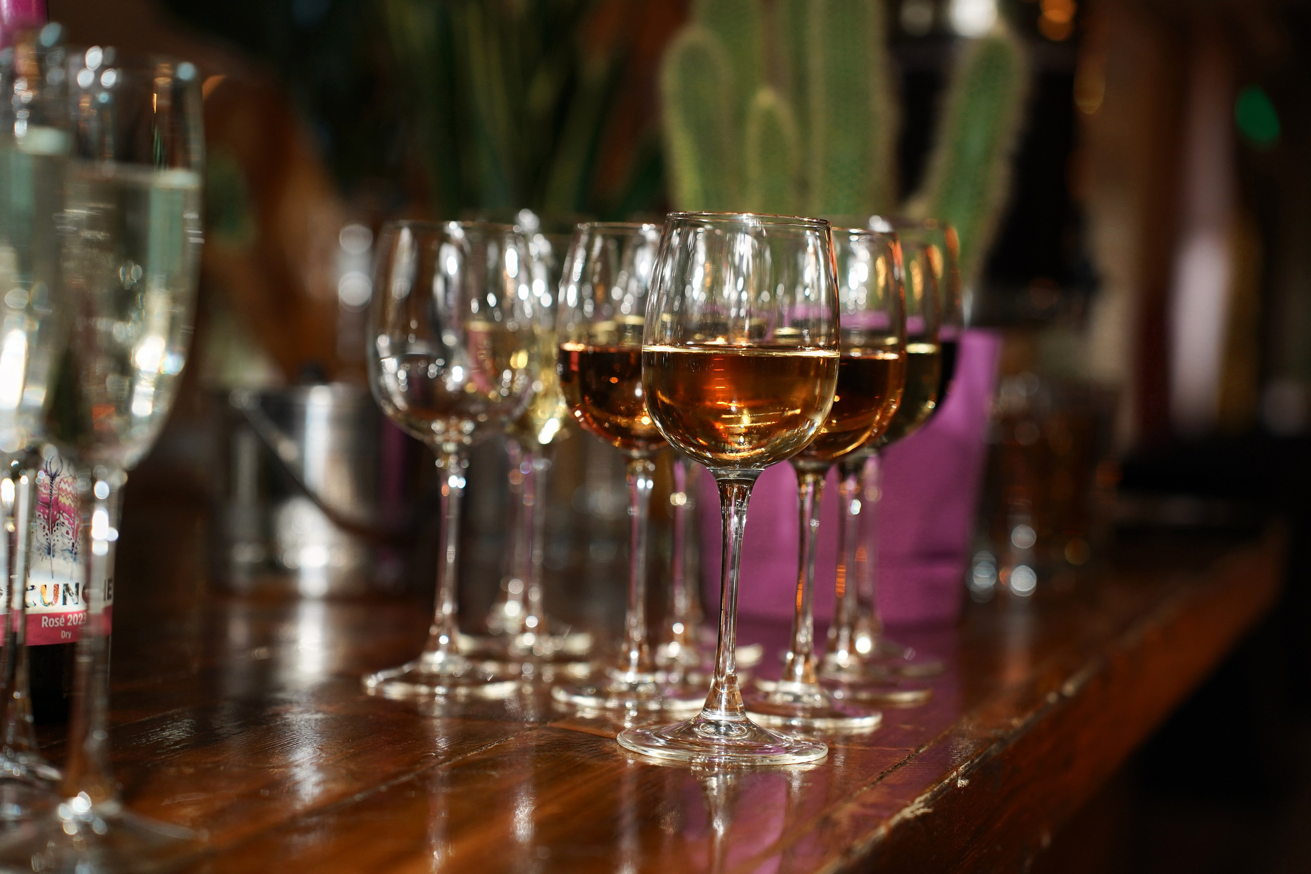 Летний корпоратив. Фотограф